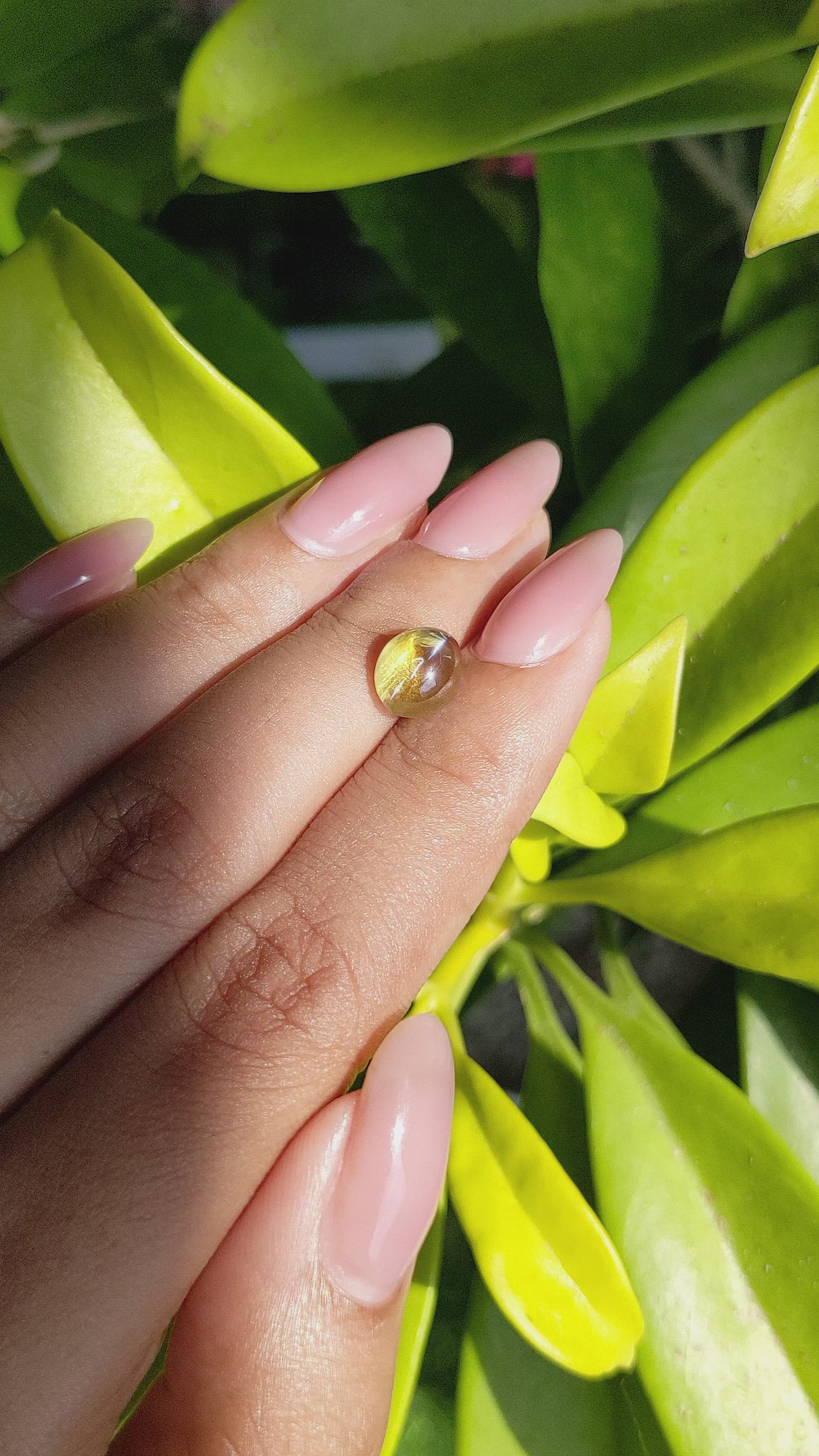 2.89 Ct. Greenish Yellow Cabochon Chrysoberyl from Ceylon (Sri Lanka) Size Video
