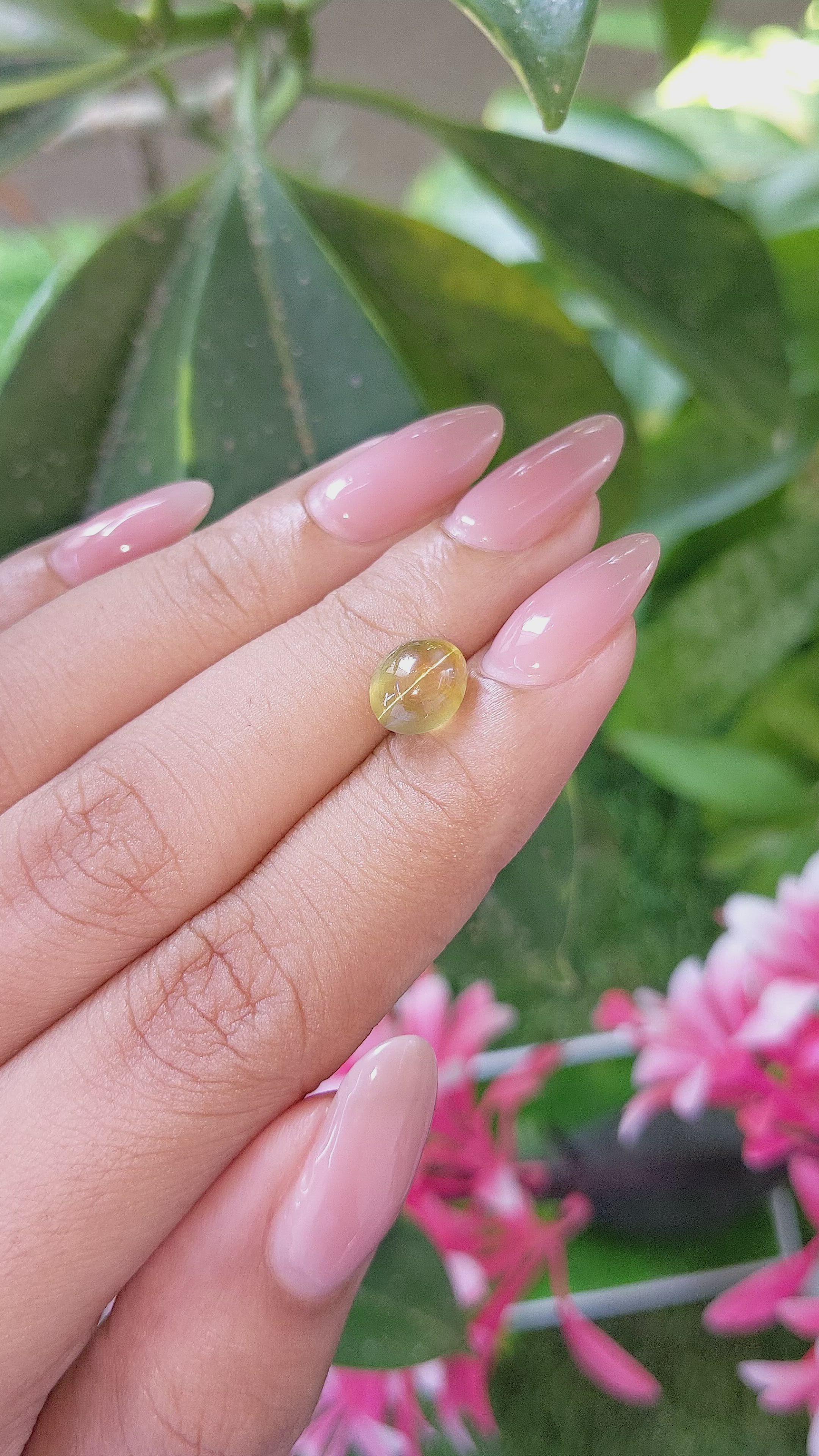 2.89 Ct. Greenish Yellow Cabochon Chrysoberyl from Ceylon (Sri Lanka) Size Video