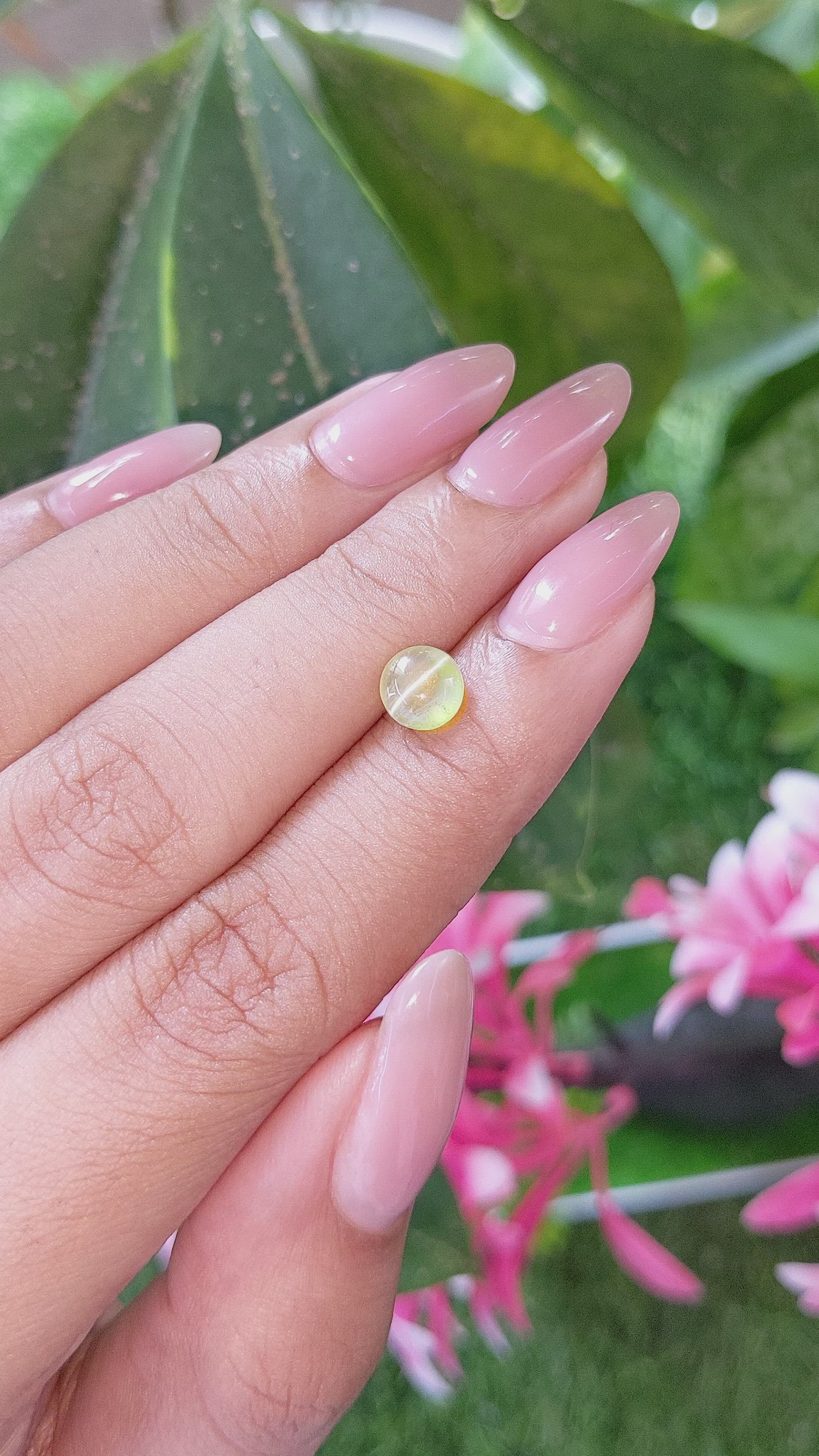 1.58 Ct. Yellowish Green Cabochon Chrysoberyl from Ceylon (Sri Lanka) Size Video