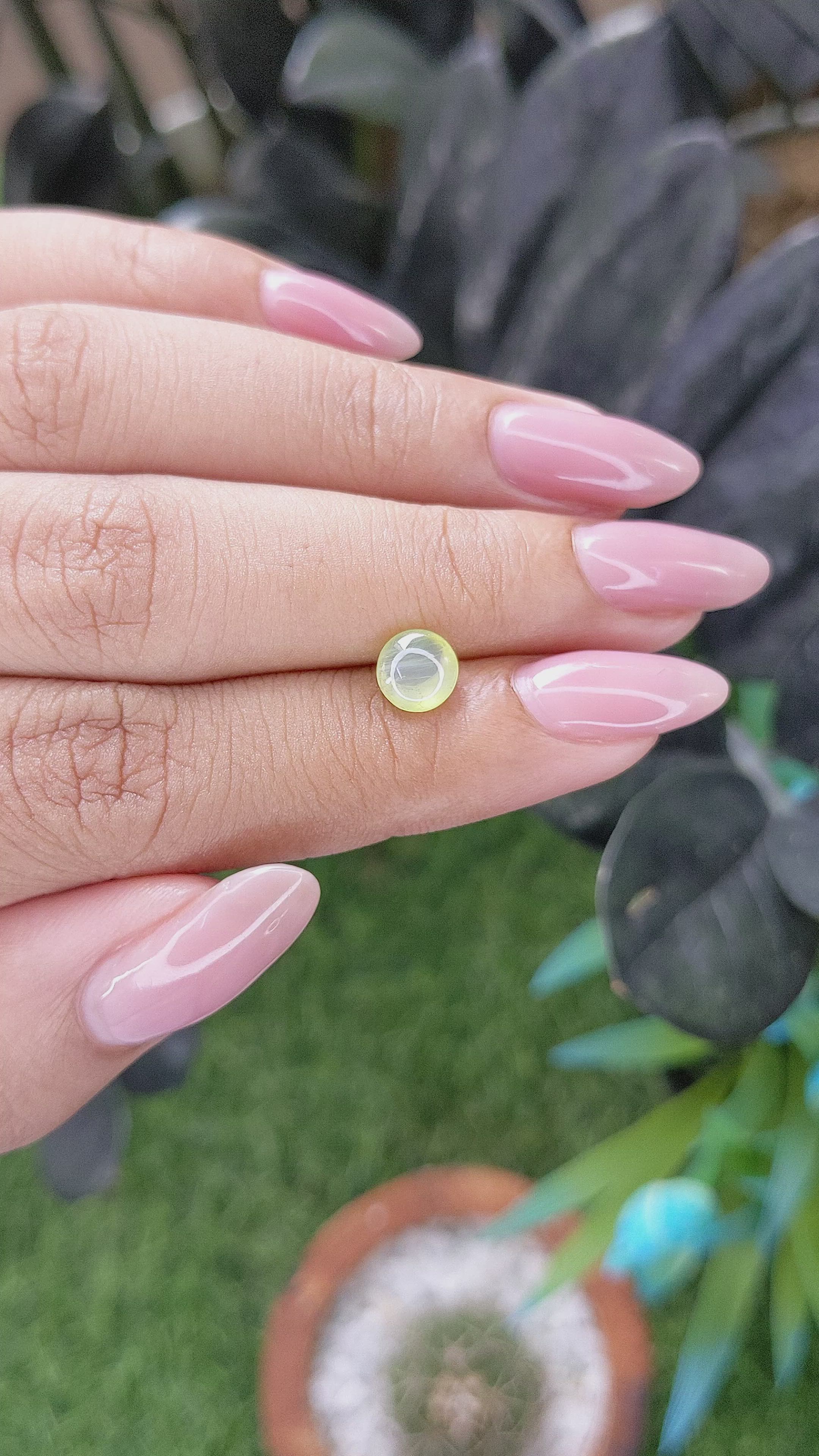 1.58 Ct. Yellowish Green Cabochon Chrysoberyl from Ceylon (Sri Lanka) Size Video