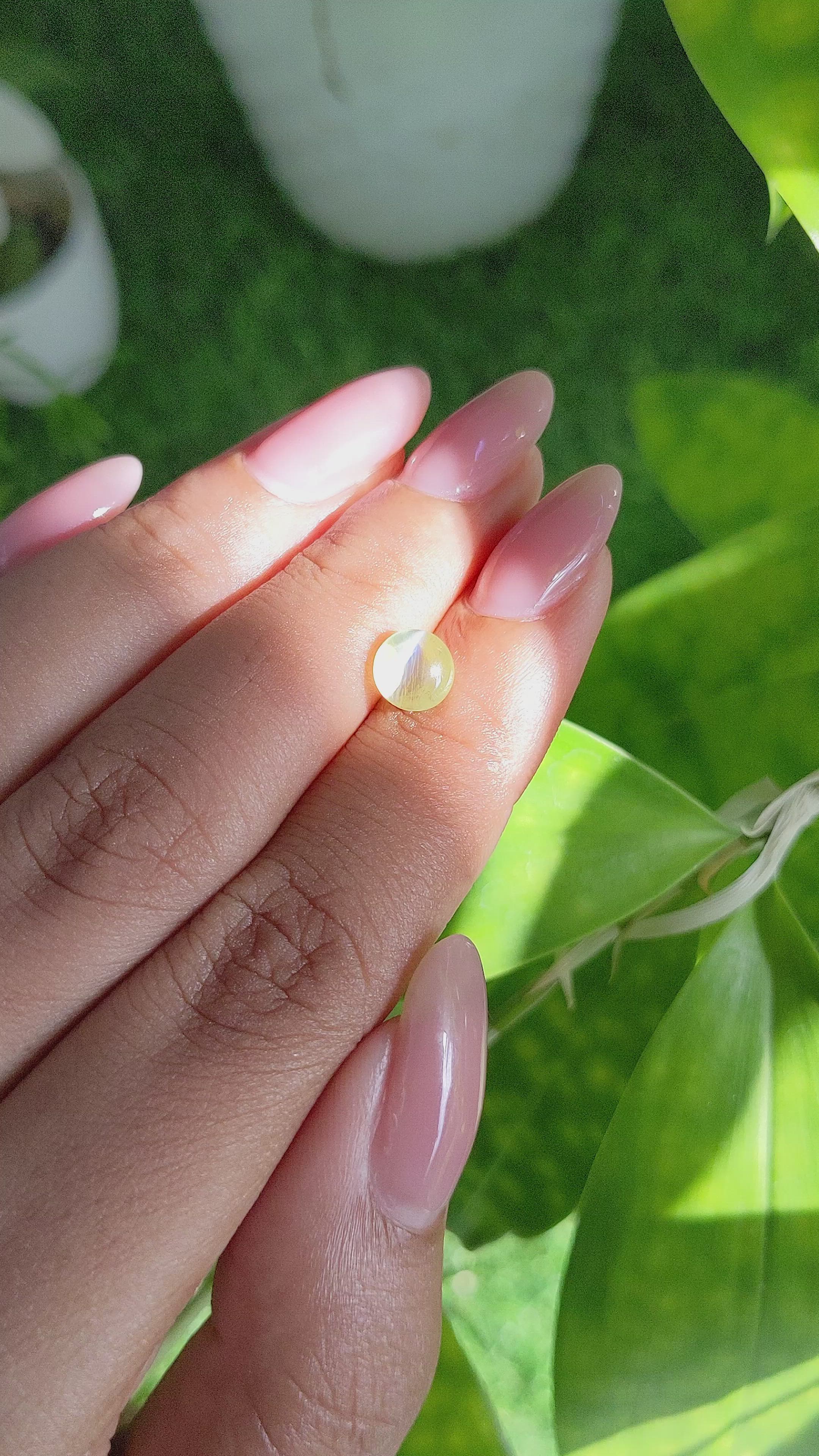 1.58 Ct. Yellowish Green Cabochon Chrysoberyl from Ceylon (Sri Lanka) Size Video