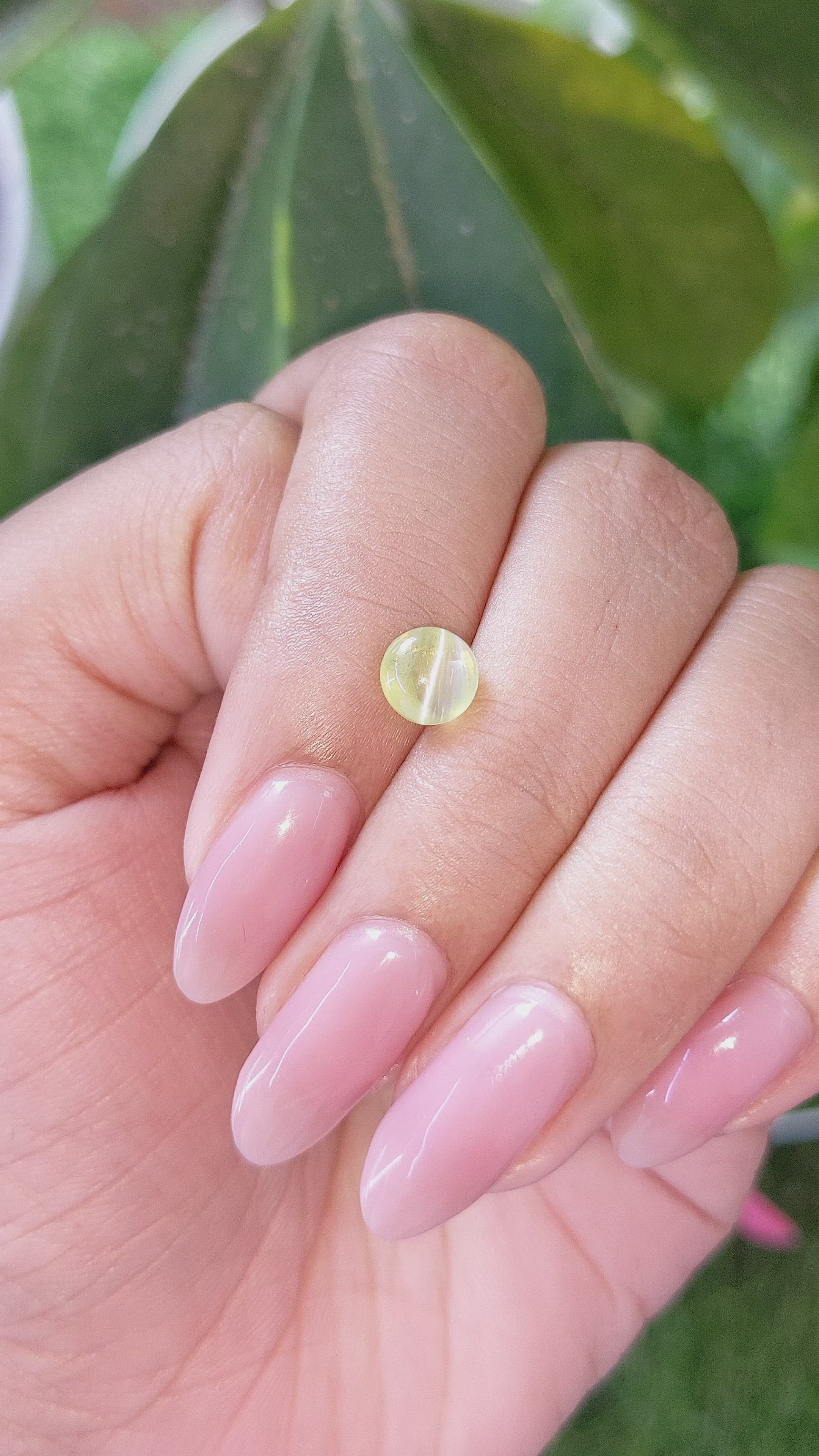 1.58 Ct. Yellowish Green Cabochon Chrysoberyl from Ceylon (Sri Lanka) Size Video