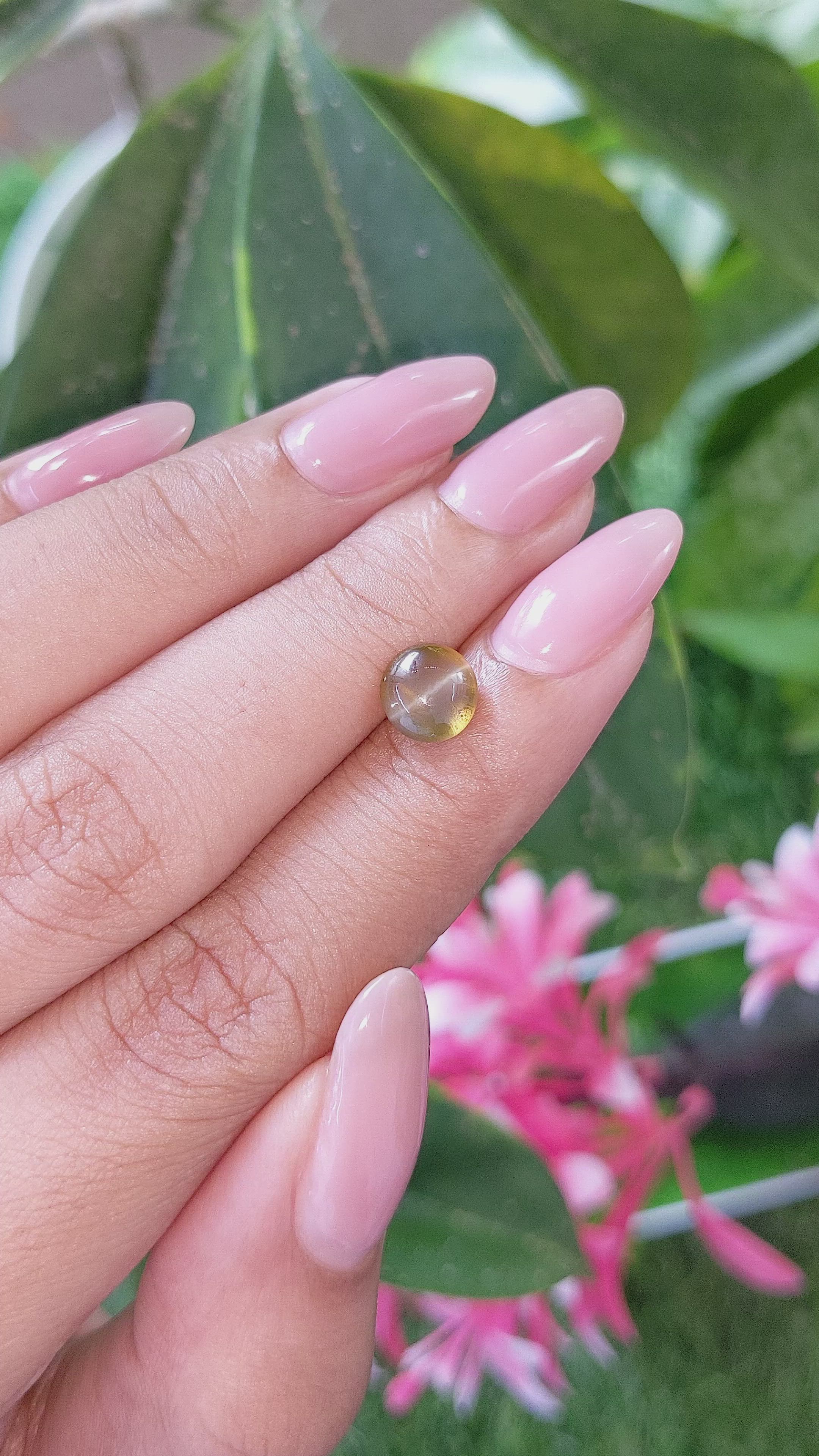 1.85 Ct. Yellowish Brown Cabochon Chrysoberyl from Madagascar Size Video