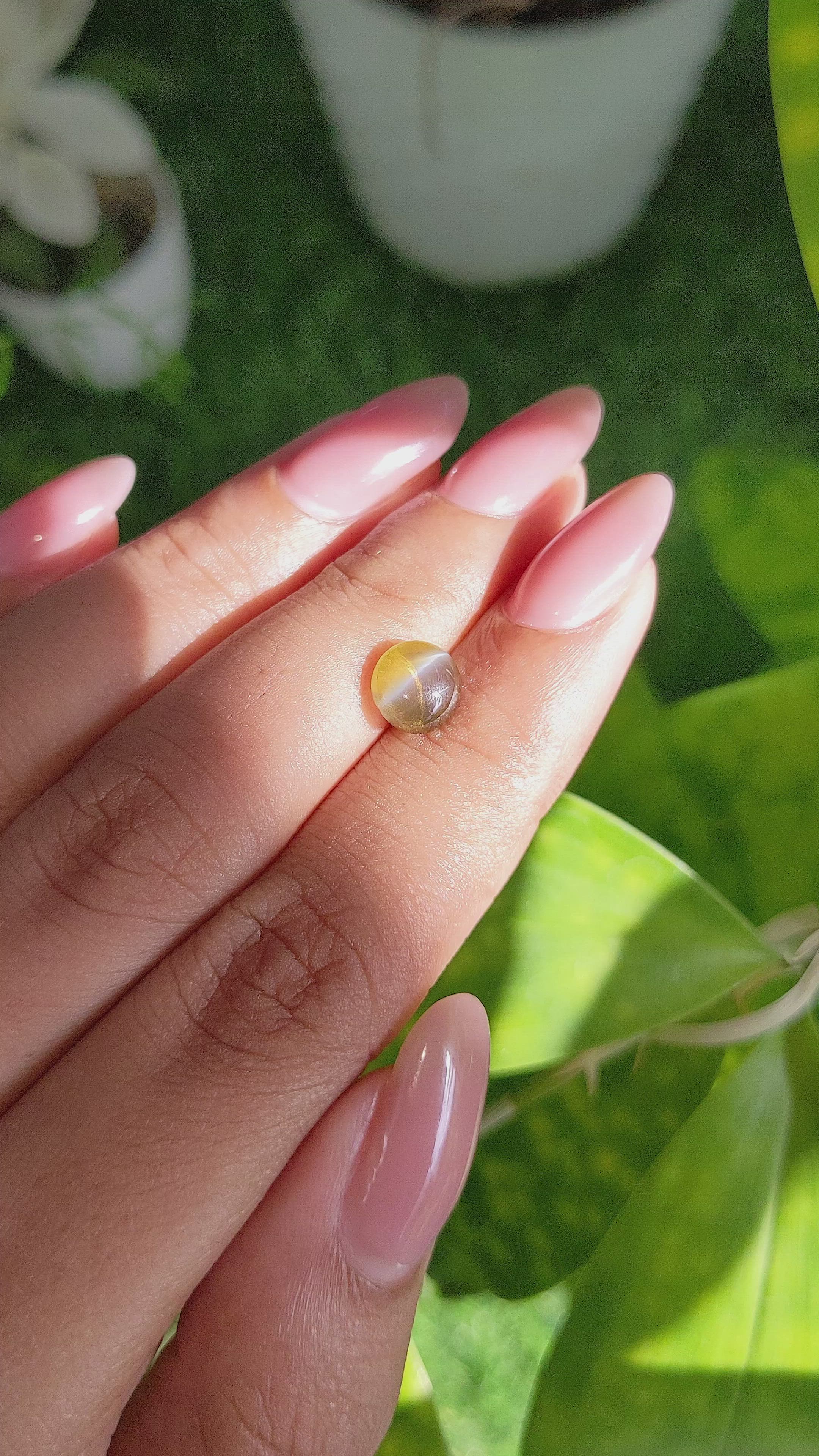 1.85 Ct. Yellowish Brown Cabochon Chrysoberyl from Madagascar Size Video