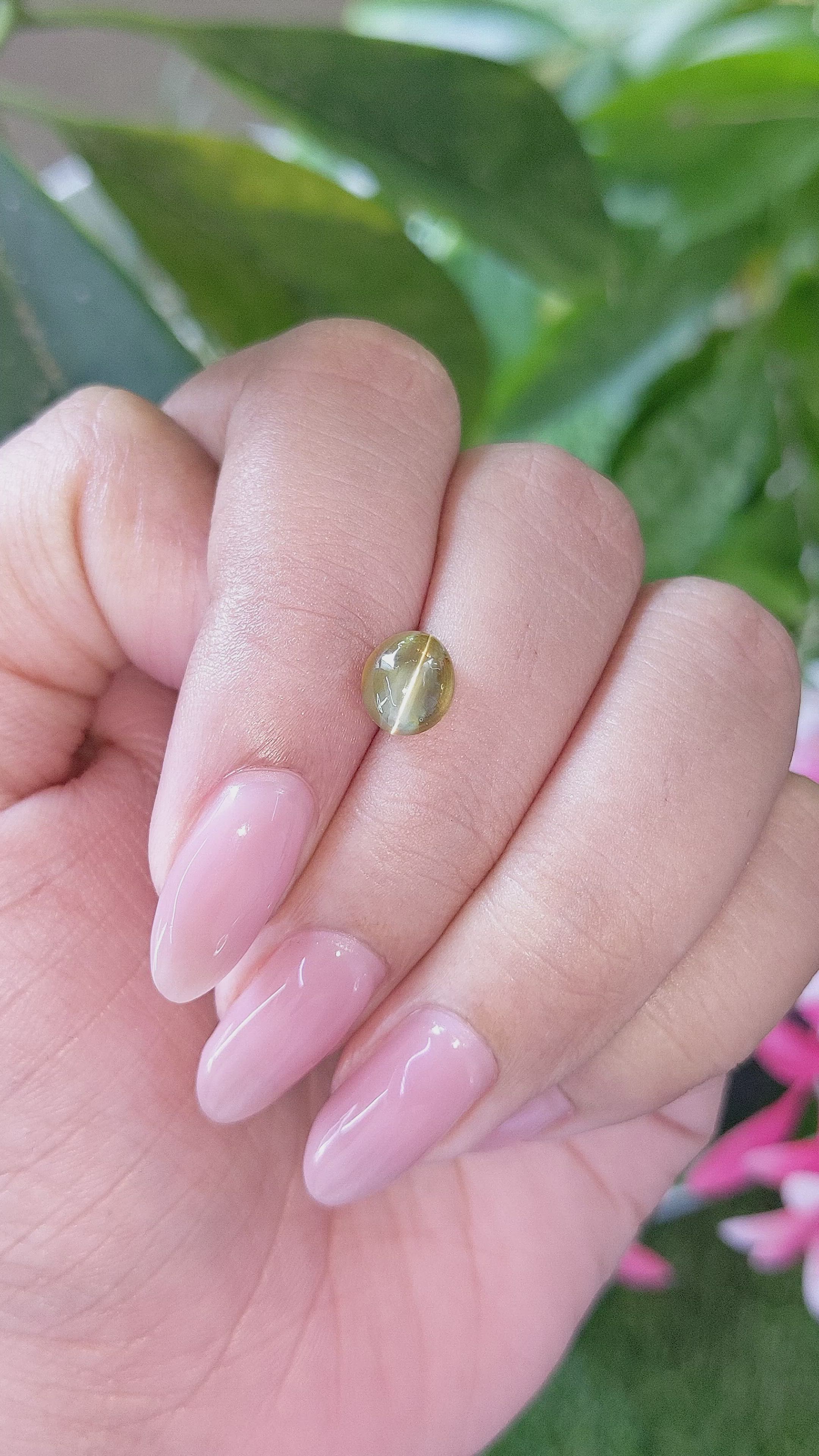 2.32 Ct. Yellowish Green Cabochon Chrysoberyl from Tanzania Size Video