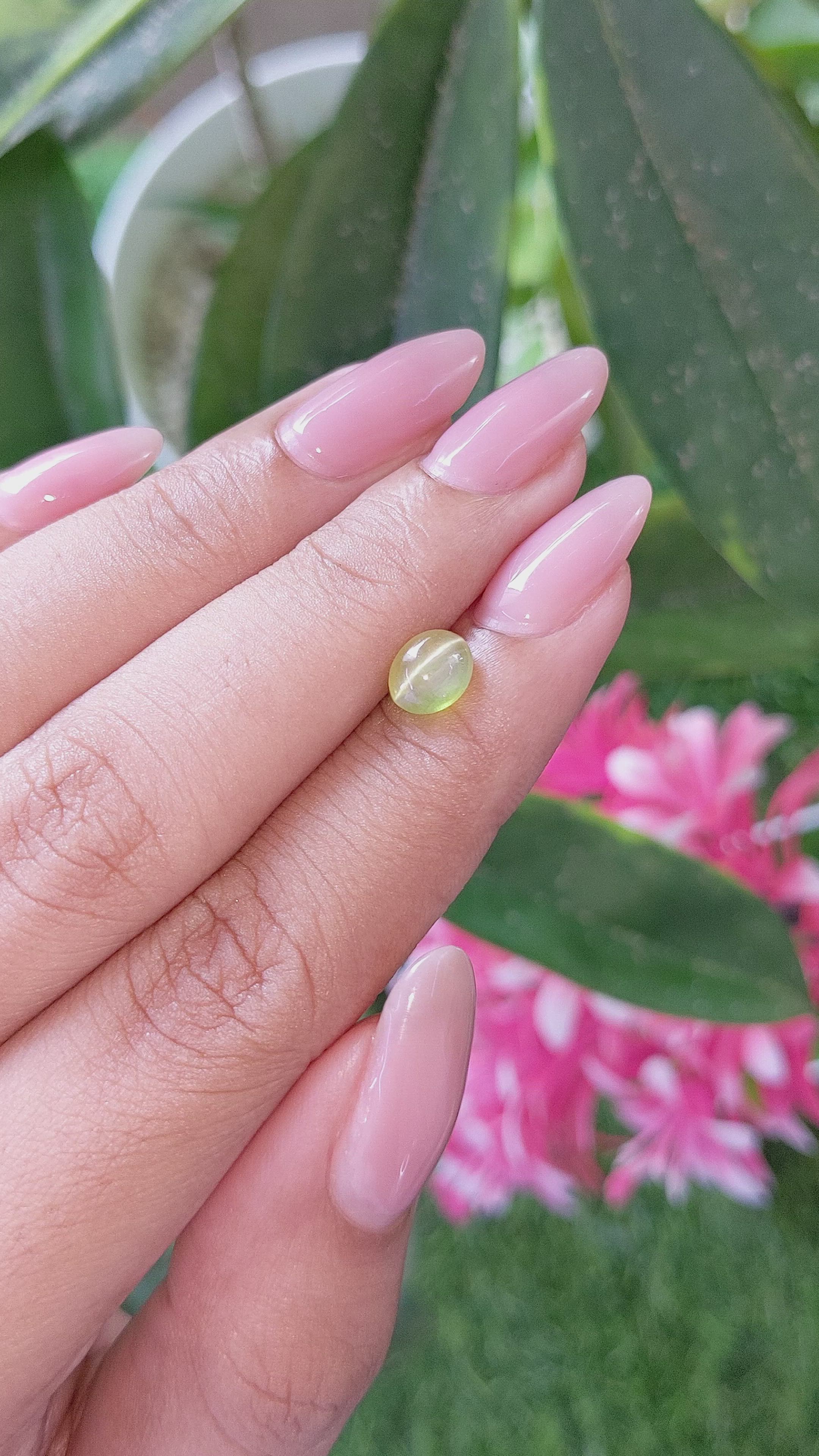 1.44 Ct. Yellowish Green Cabochon Chrysoberyl from Ceylon (Sri Lanka) Size Video