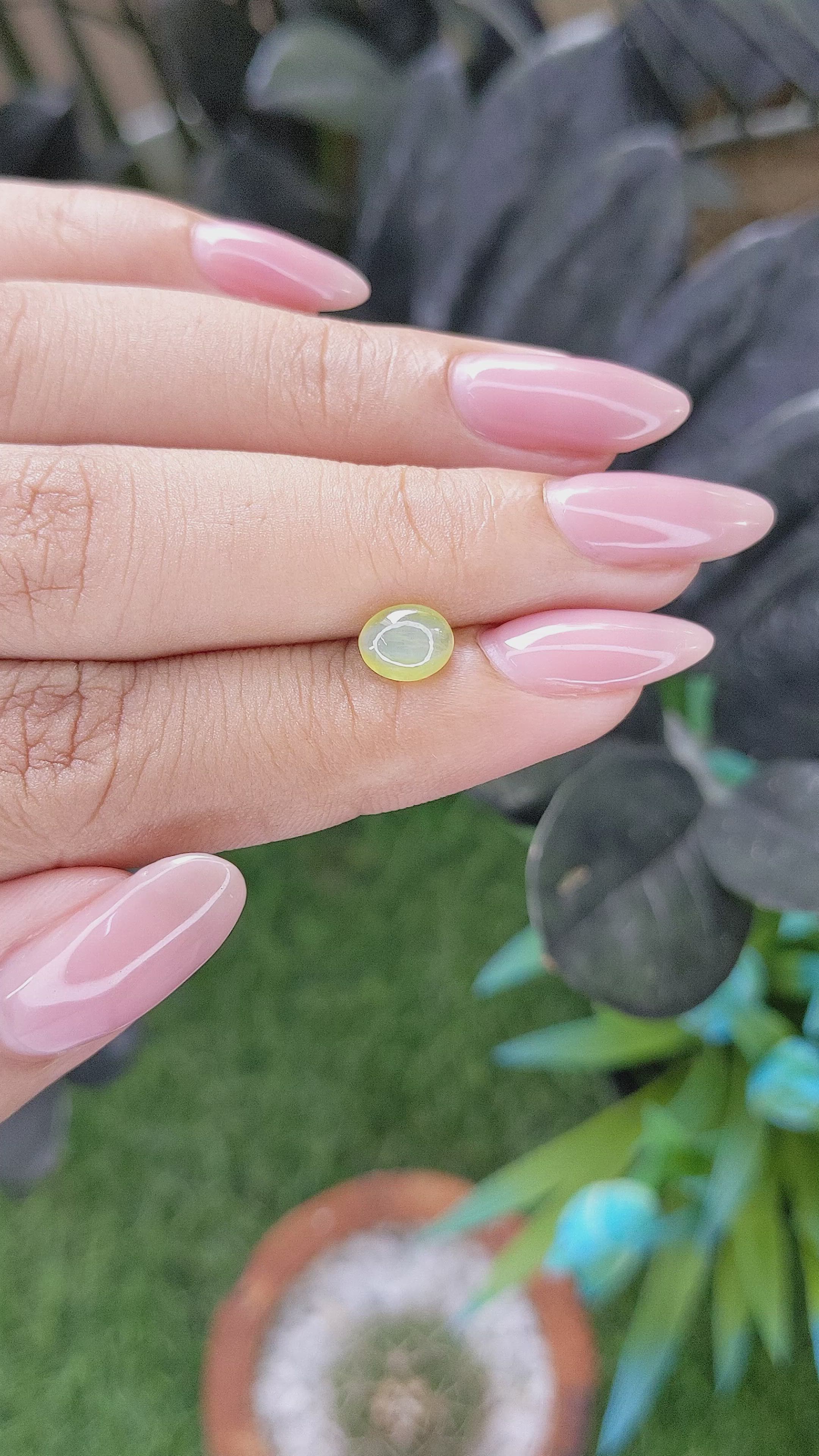 1.44 Ct. Yellowish Green Cabochon Chrysoberyl from Ceylon (Sri Lanka) Size Video