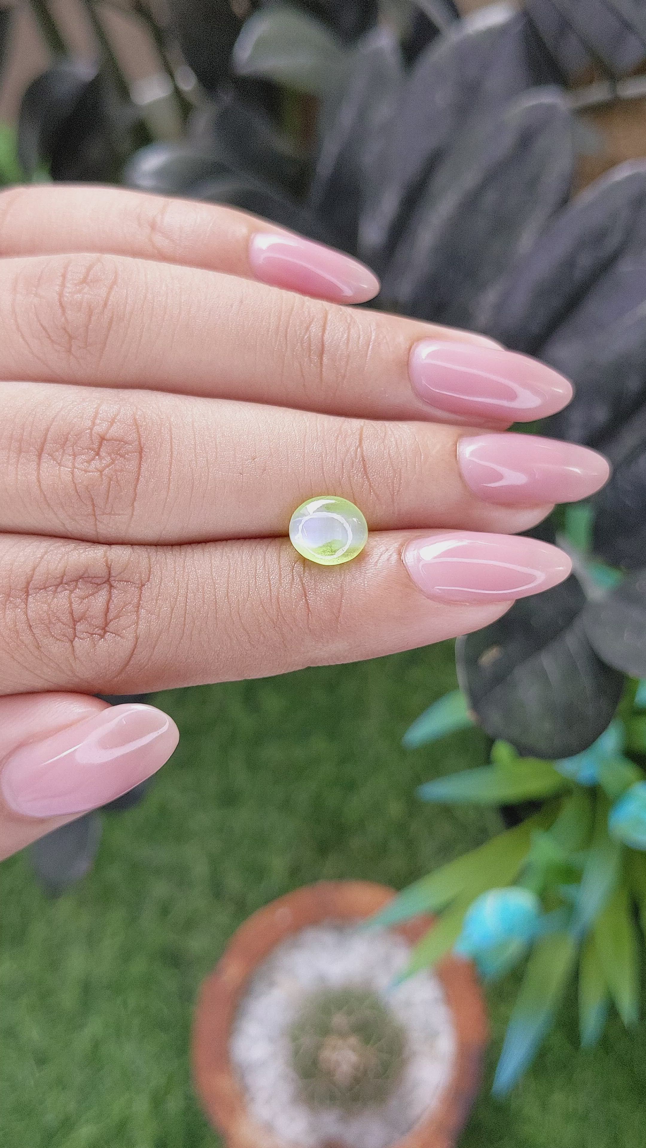 1.75 Ct. Green Cabochon Chrysoberyl from Ceylon (Sri Lanka) Size Video