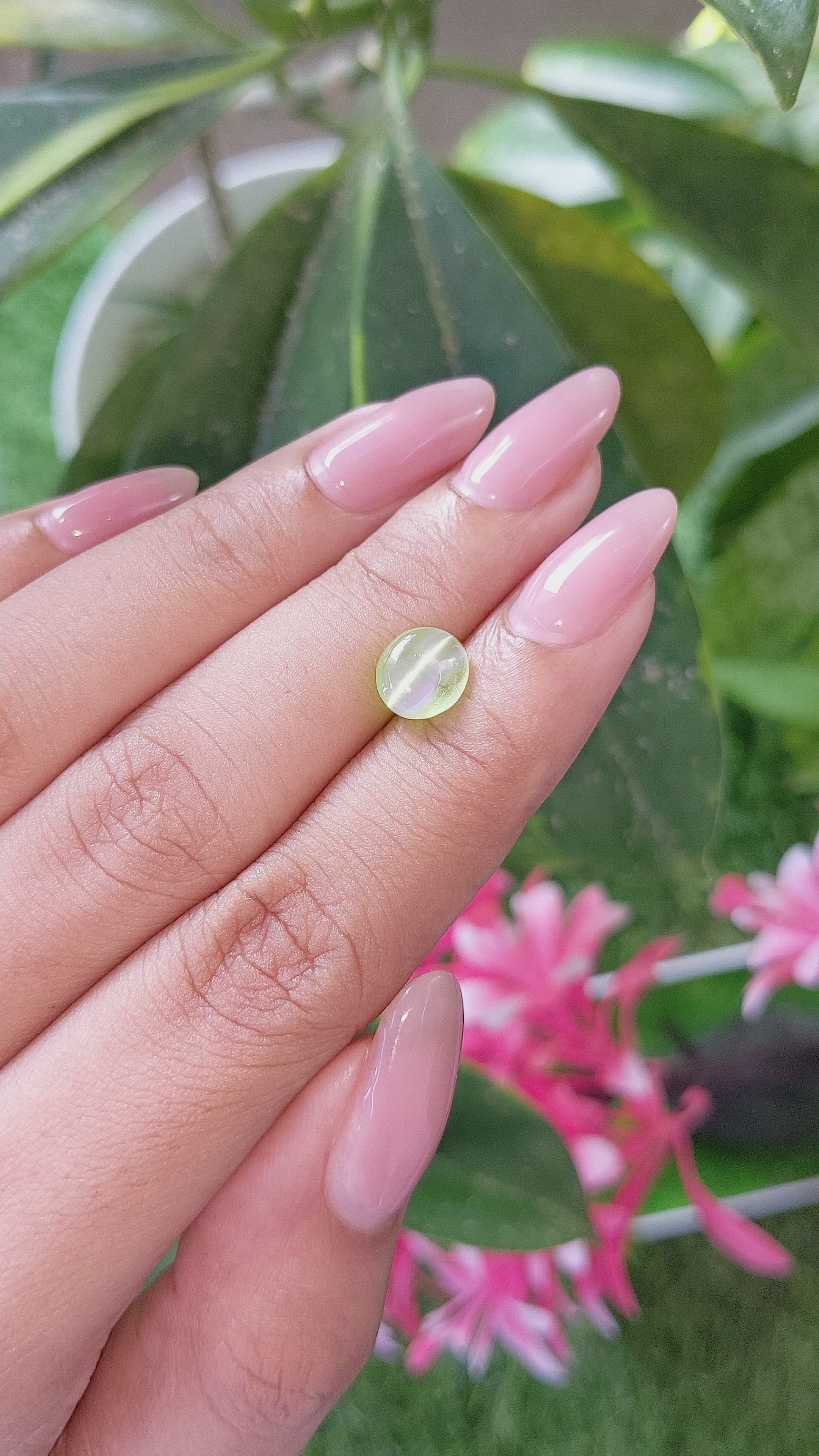 1.75 Ct. Green Cabochon Chrysoberyl from Ceylon (Sri Lanka) Size Video