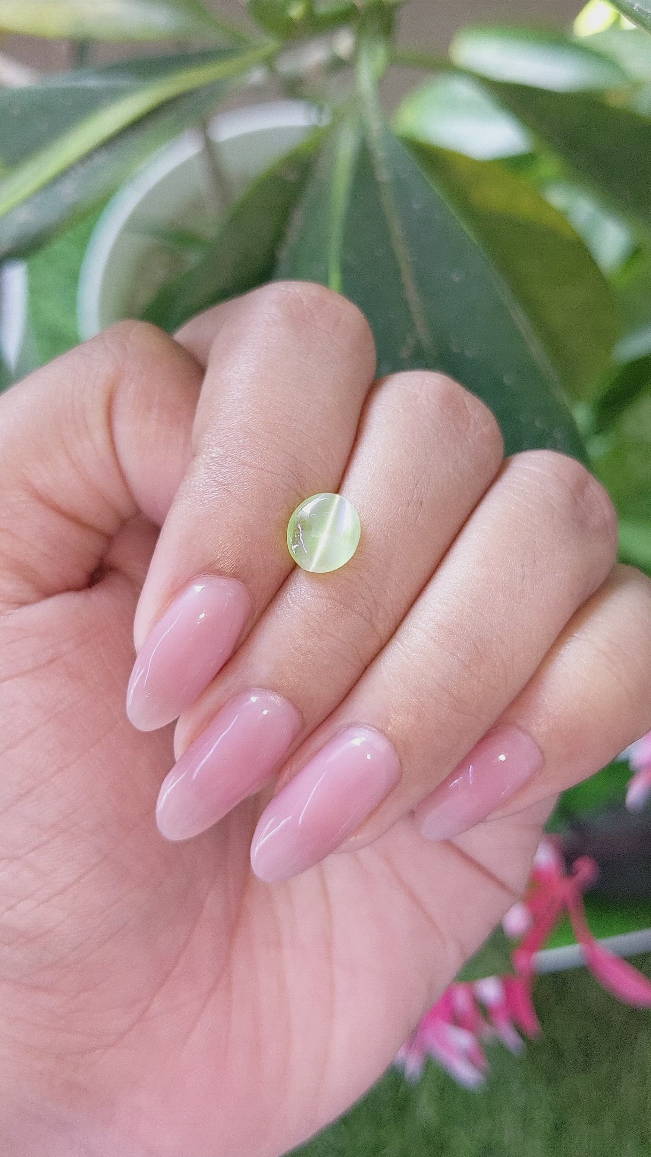 1.75 Ct. Green Cabochon Chrysoberyl from Ceylon (Sri Lanka) Size Video