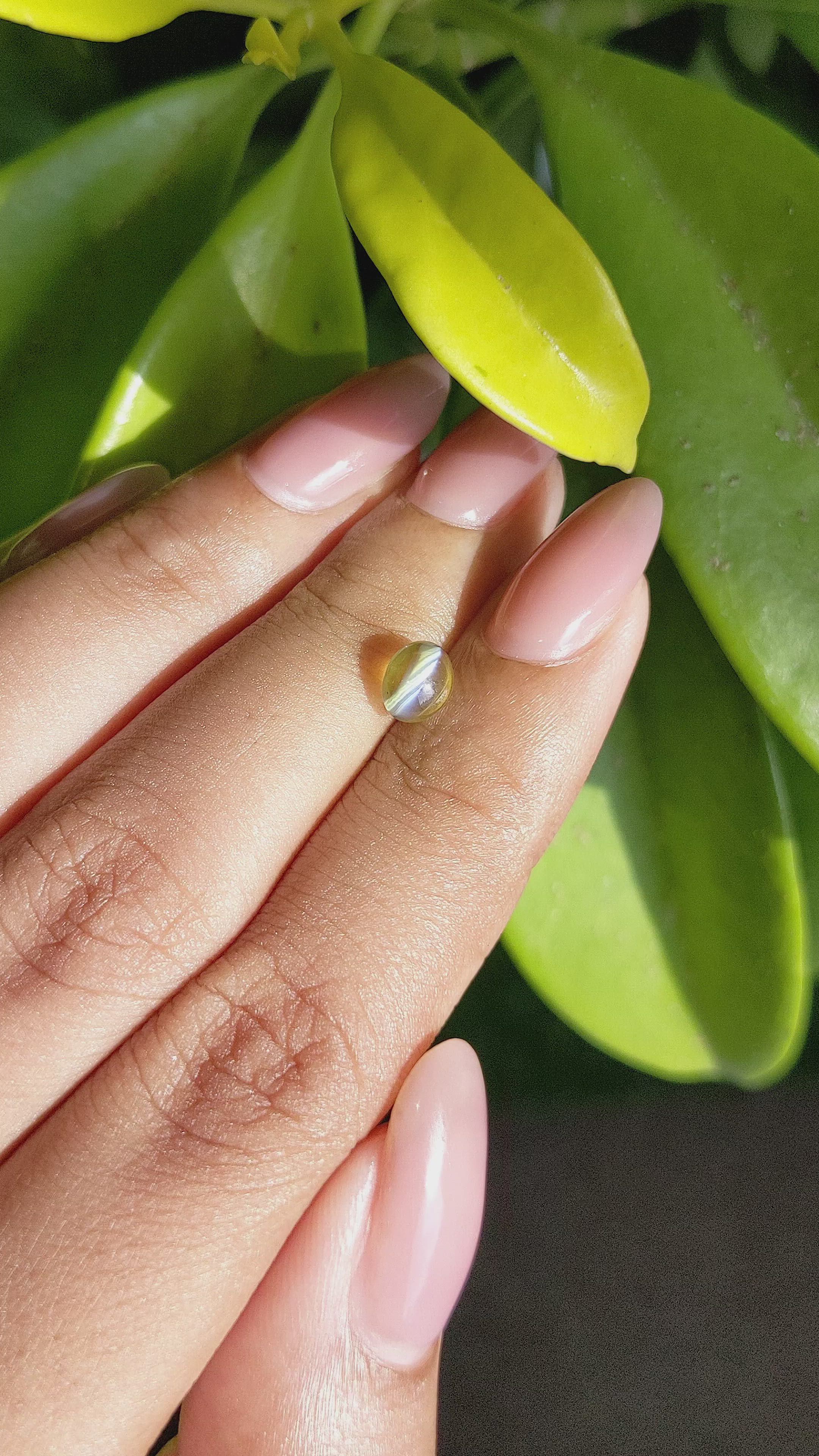 1.27 Ct. Yellowish Green Cabochon Chrysoberyl from Ceylon (Sri Lanka) Size Video