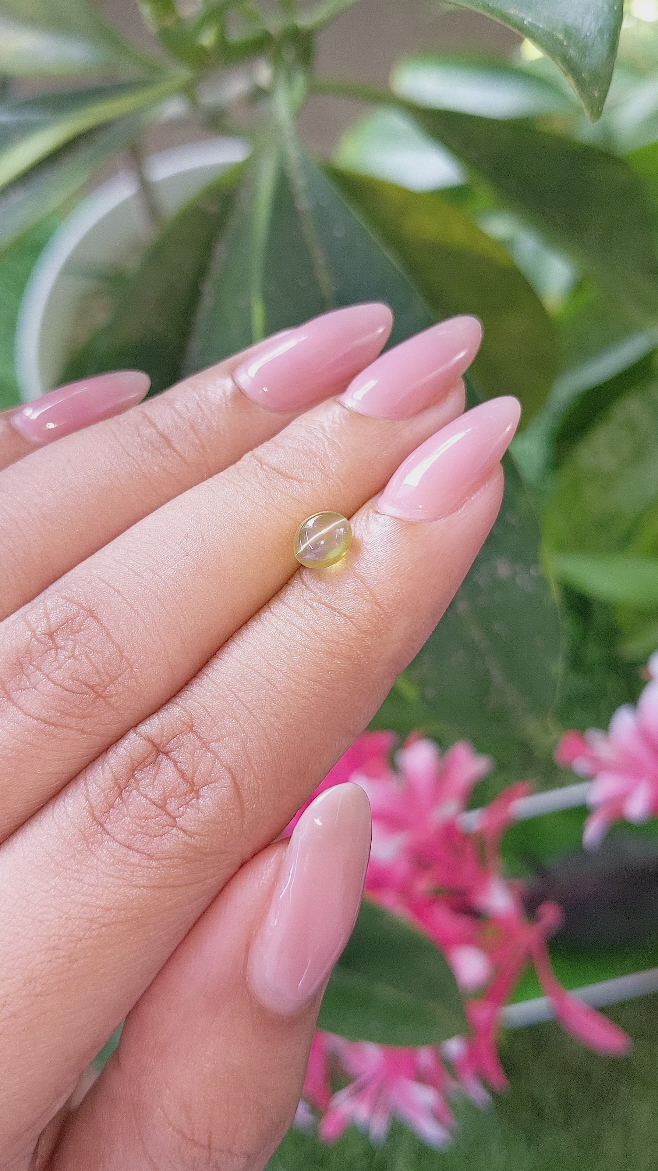 1.27 Ct. Yellowish Green Cabochon Chrysoberyl from Ceylon (Sri Lanka) Size Video
