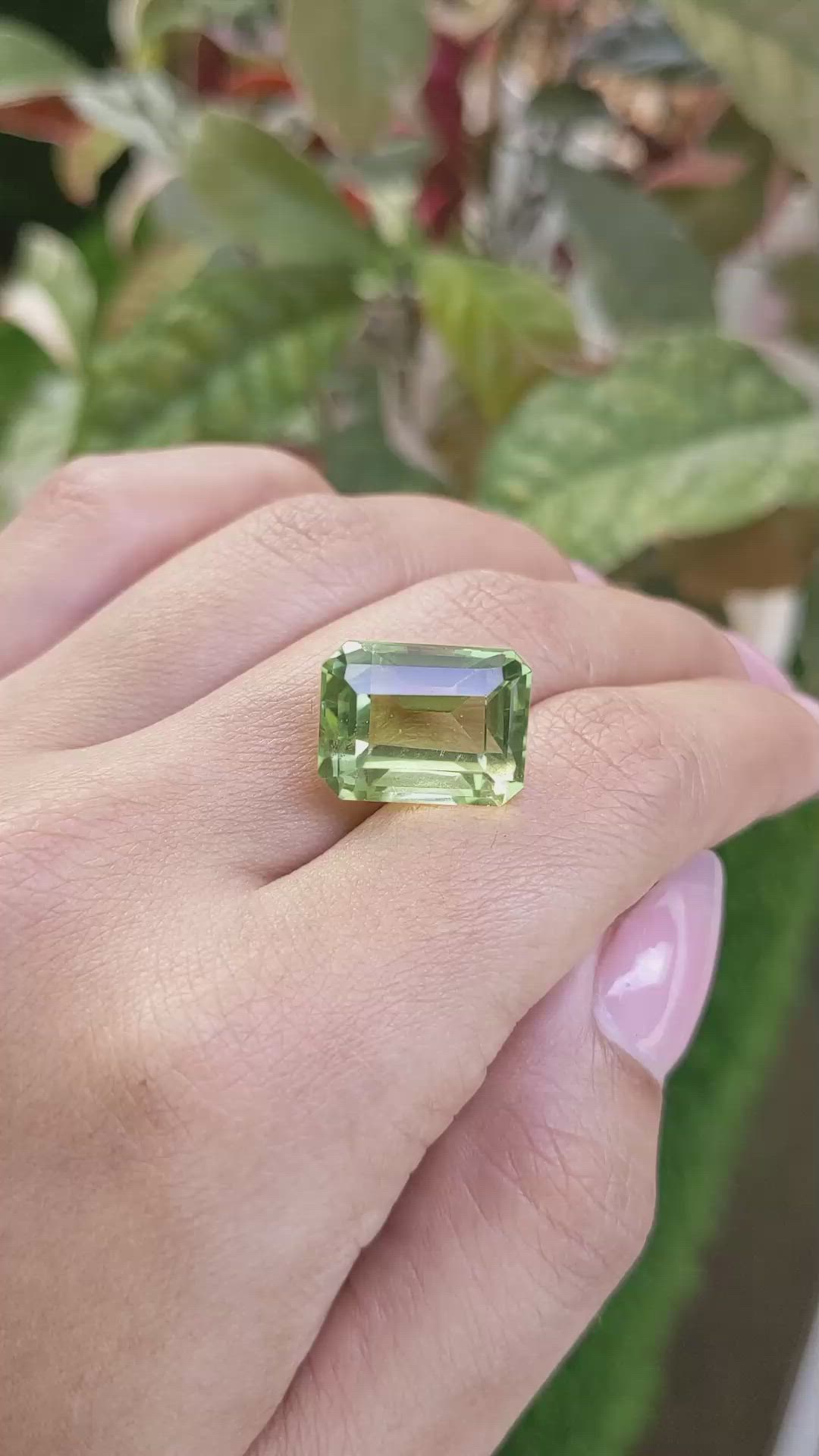 14.21 Ct. Yellowish Green Prasiolite from Madagascar Size Video