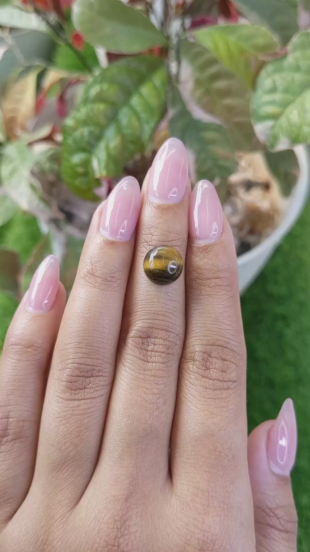 4.09 Ct. Cabochon Tiger's Eye from Ceylon (Sri Lanka) Size Video