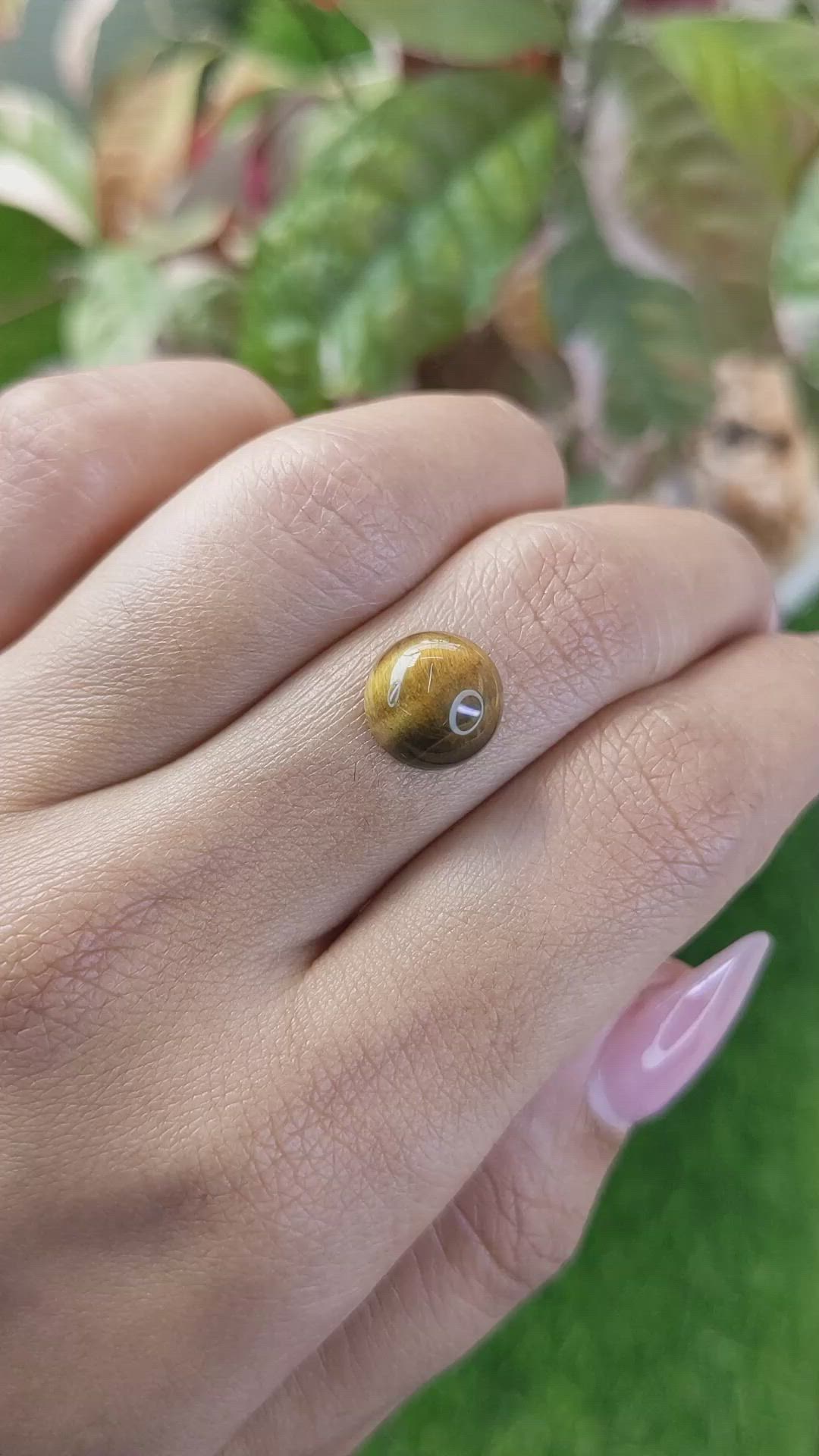 4.19 Ct. Cabochon Tiger's Eye from Ceylon (Sri Lanka) Size Video
