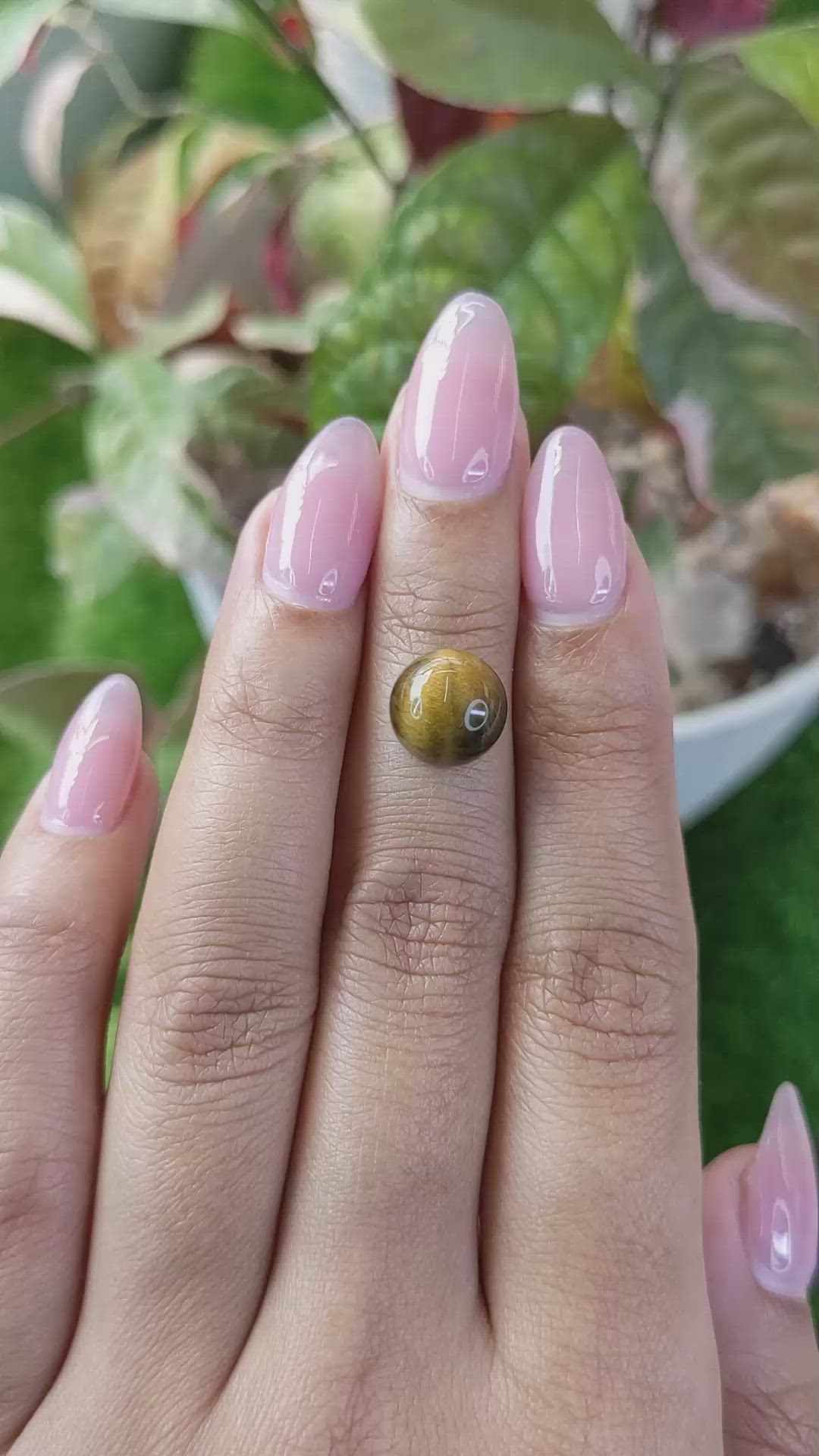 4.19 Ct. Cabochon Tiger's Eye from Ceylon (Sri Lanka) Size Video