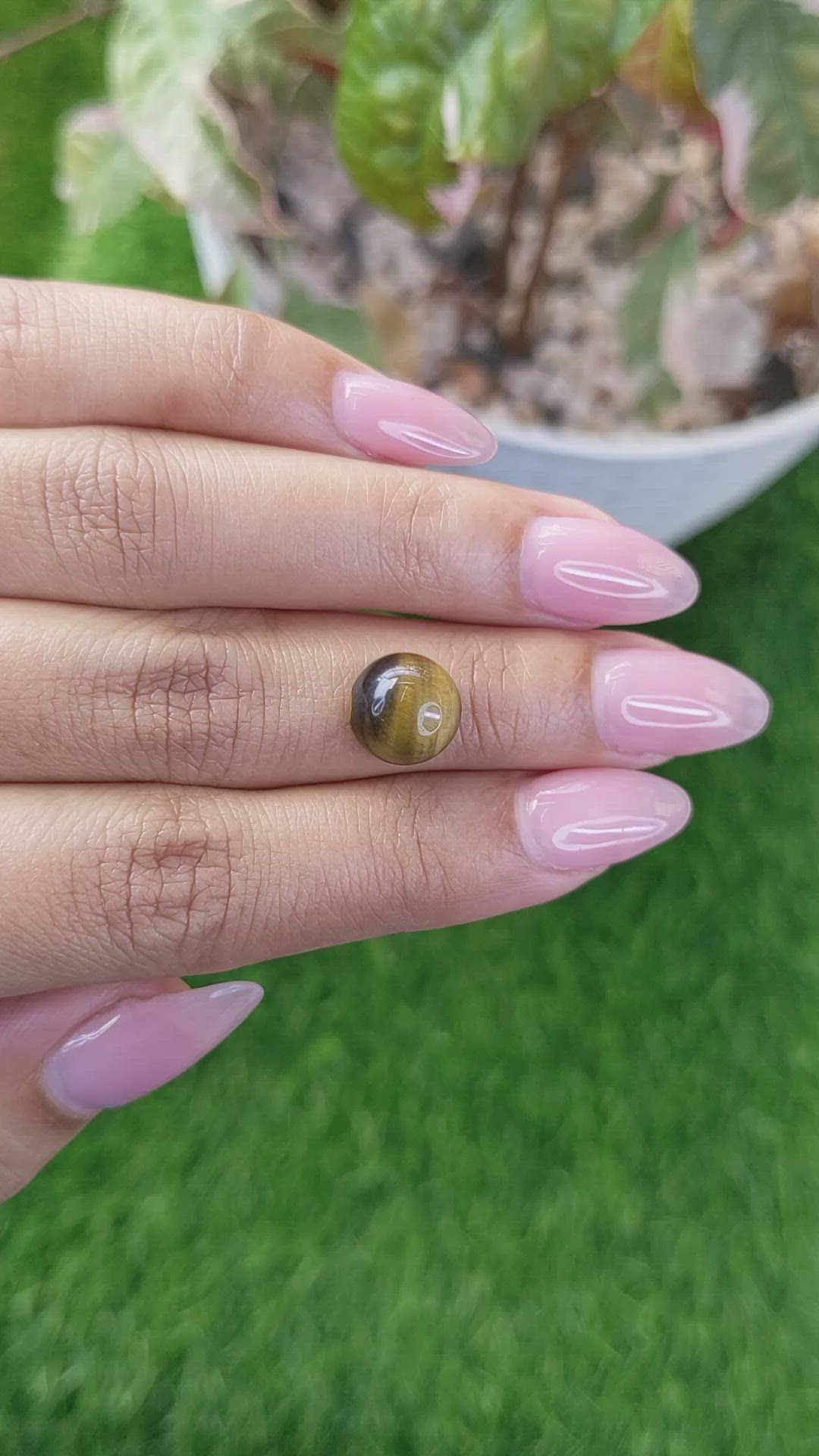 4.25 Ct. Cabochon Tiger's Eye from Ceylon (Sri Lanka) Size Video