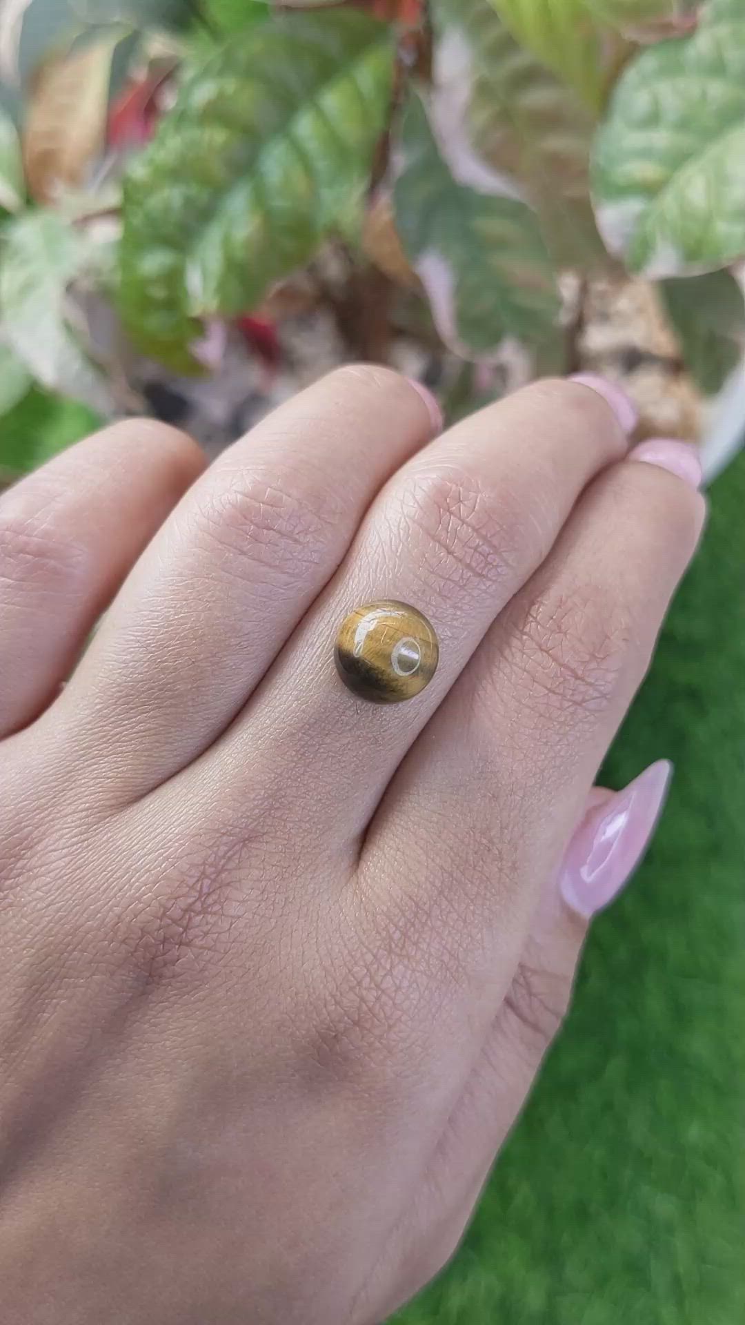 4.25 Ct. Cabochon Tiger's Eye from Ceylon (Sri Lanka) Size Video