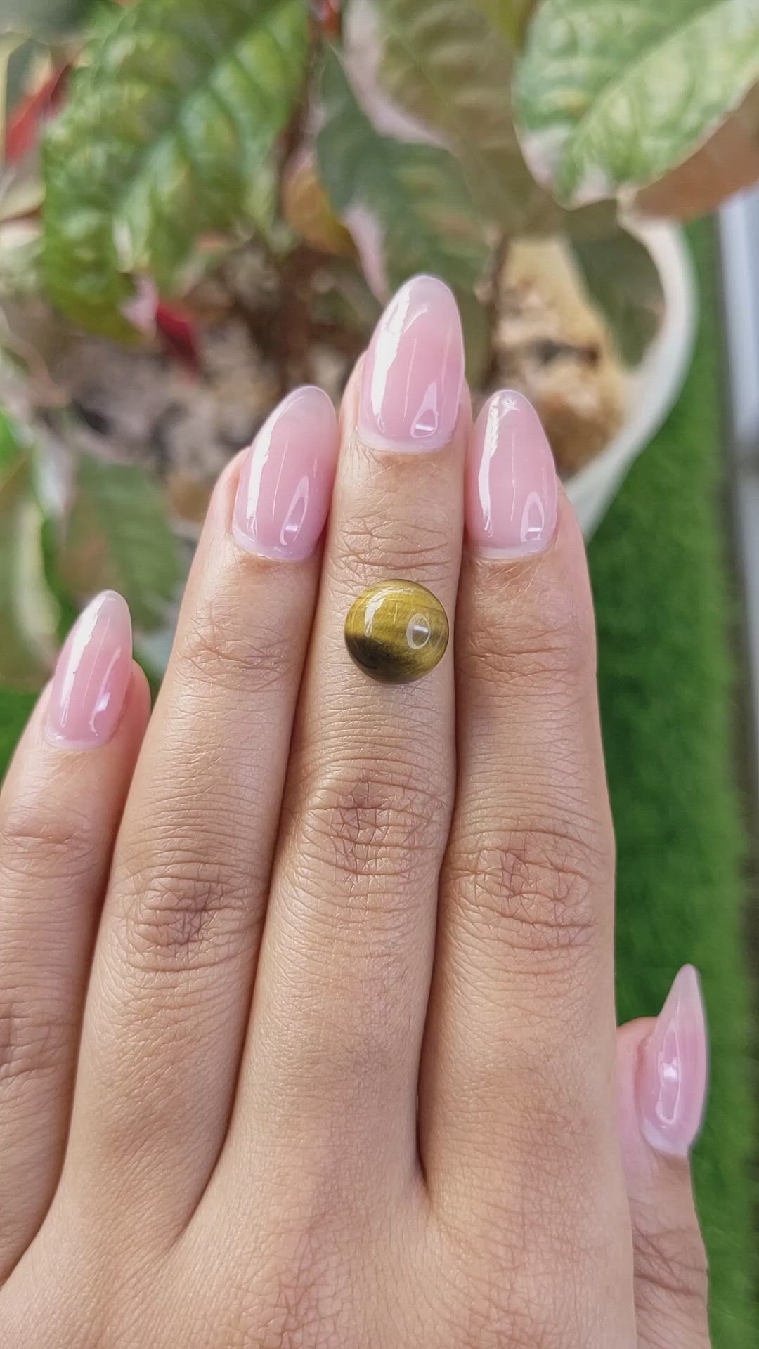 4.25 Ct. Cabochon Tiger's Eye from Ceylon (Sri Lanka) Size Video