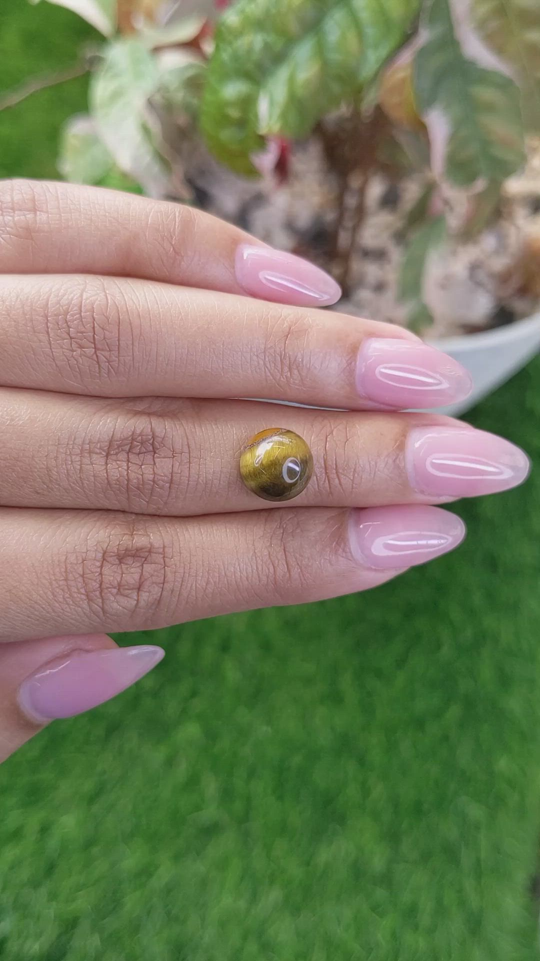 4.25 Ct. Cabochon Tiger's Eye from Ceylon (Sri Lanka) Size Video