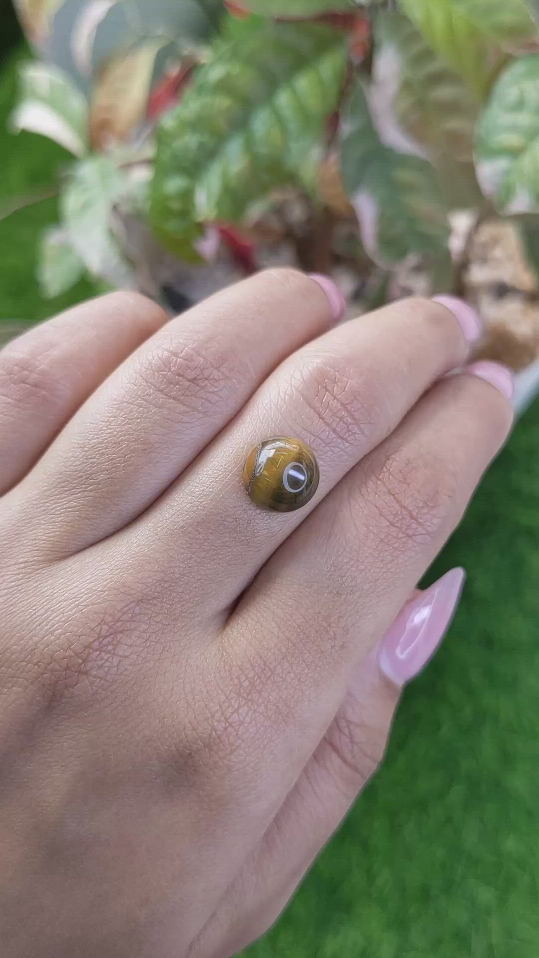 4.25 Ct. Cabochon Tiger's Eye from Ceylon (Sri Lanka) Size Video