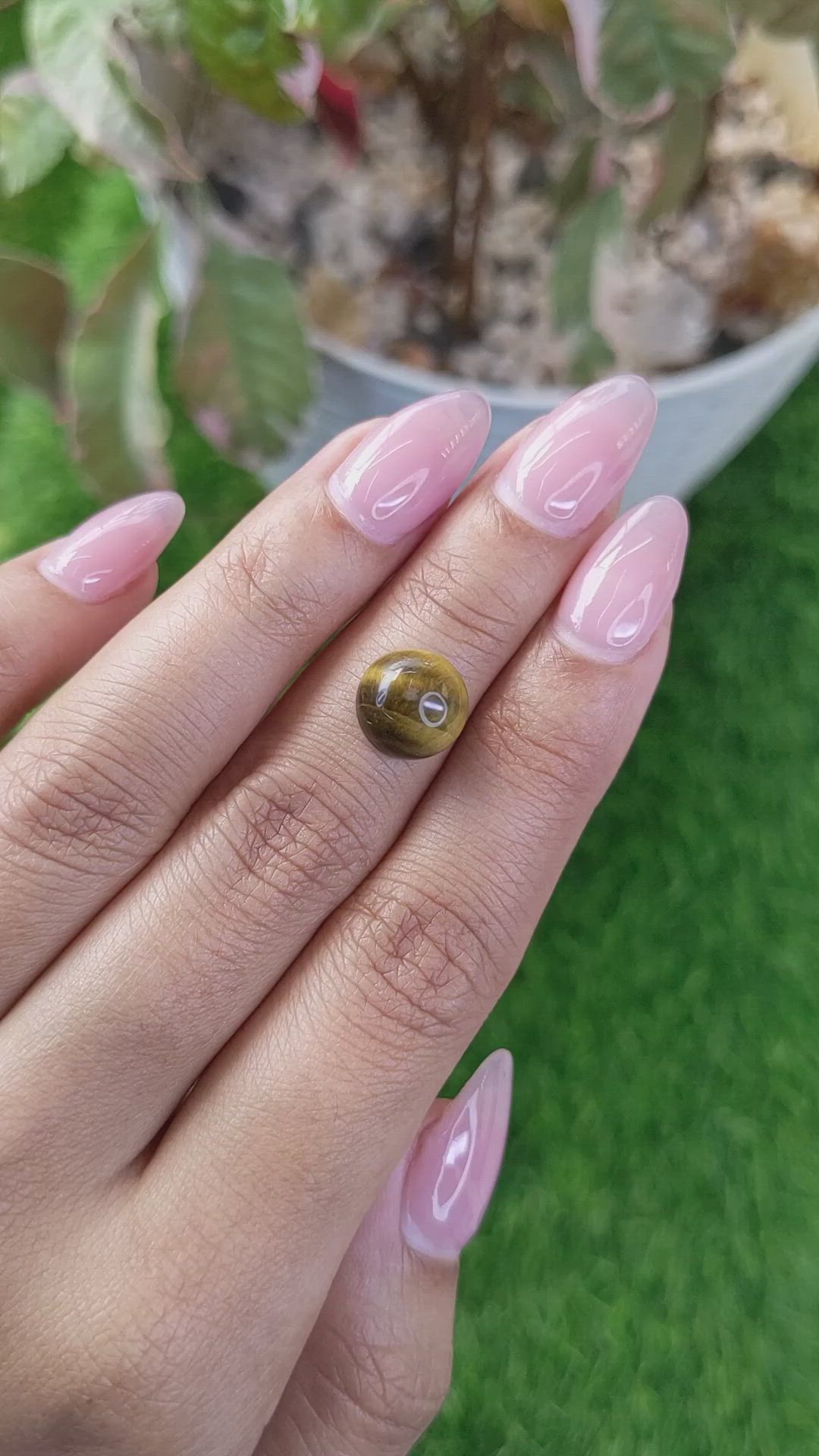 4.33 Ct. Cabochon Tiger's Eye from Ceylon (Sri Lanka) Size Video