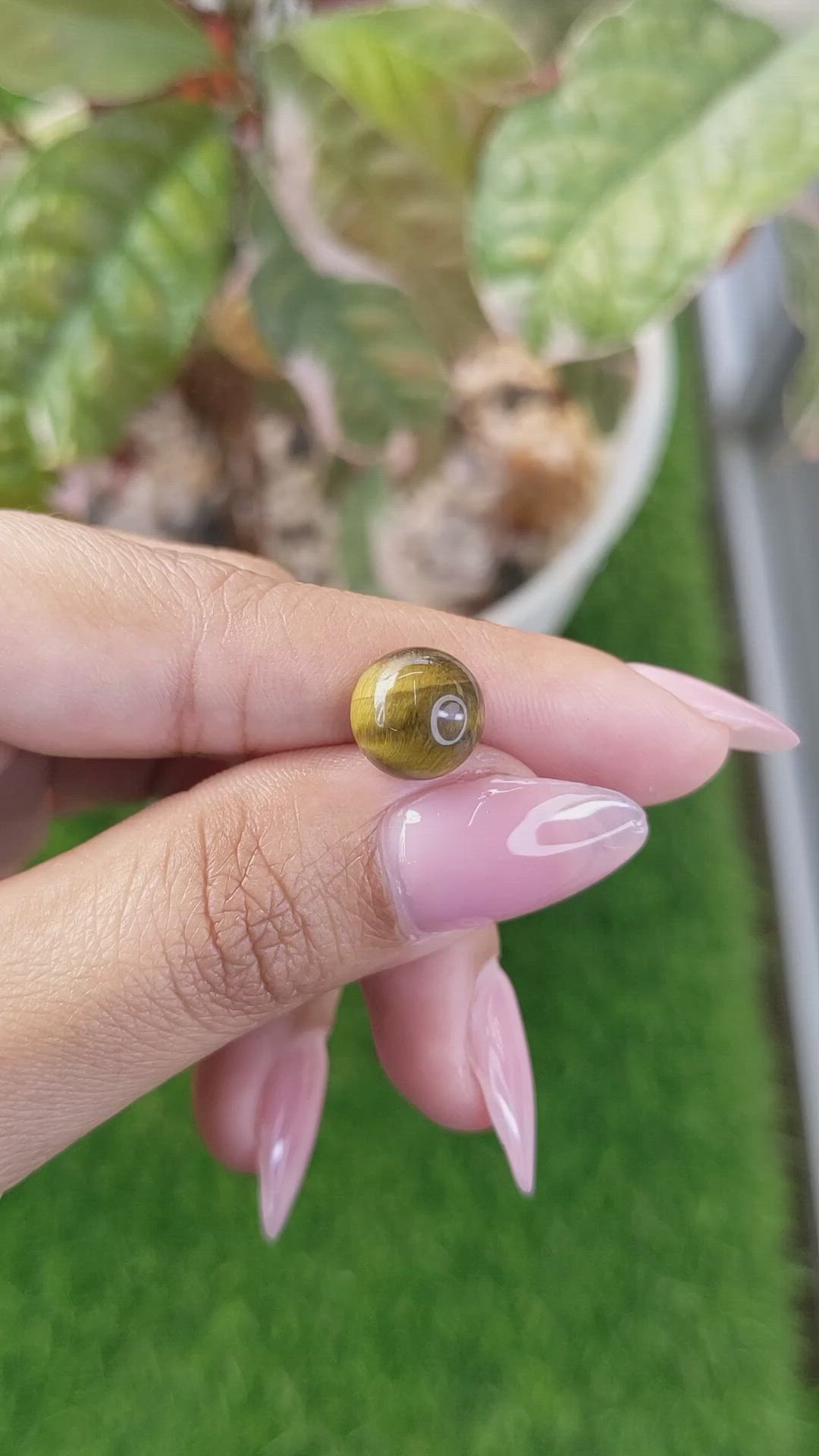 4.33 Ct. Cabochon Tiger's Eye from Ceylon (Sri Lanka) Size Video