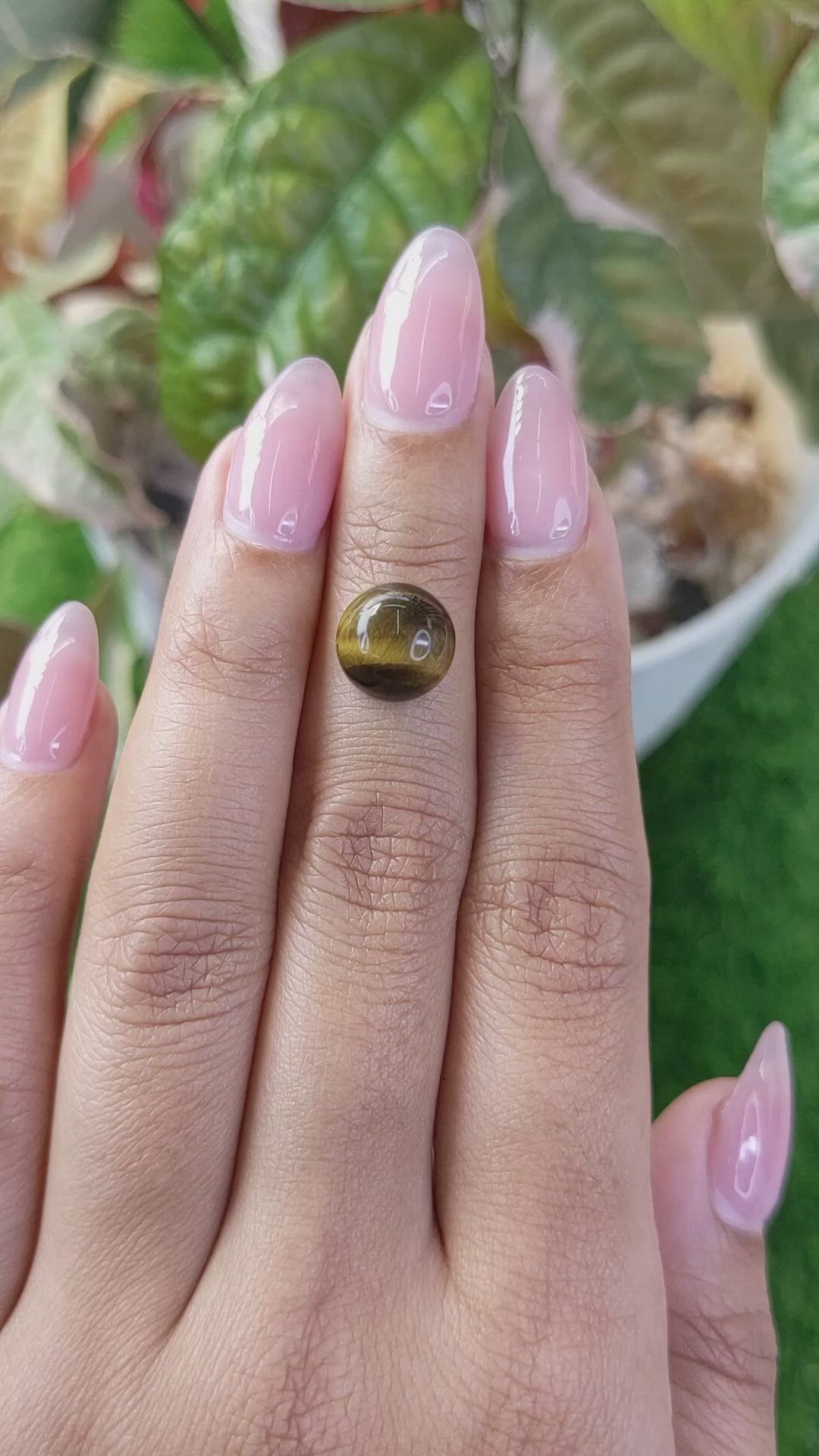 4.36 Ct. Cabochon Tiger's Eye from Ceylon (Sri Lanka) Size Video