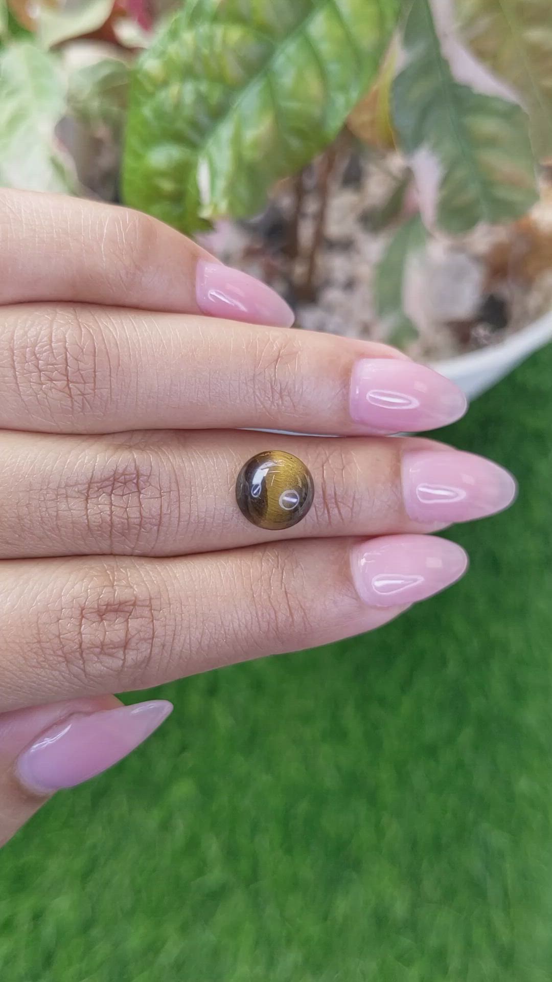 4.36 Ct. Cabochon Tiger's Eye from Ceylon (Sri Lanka) Size Video
