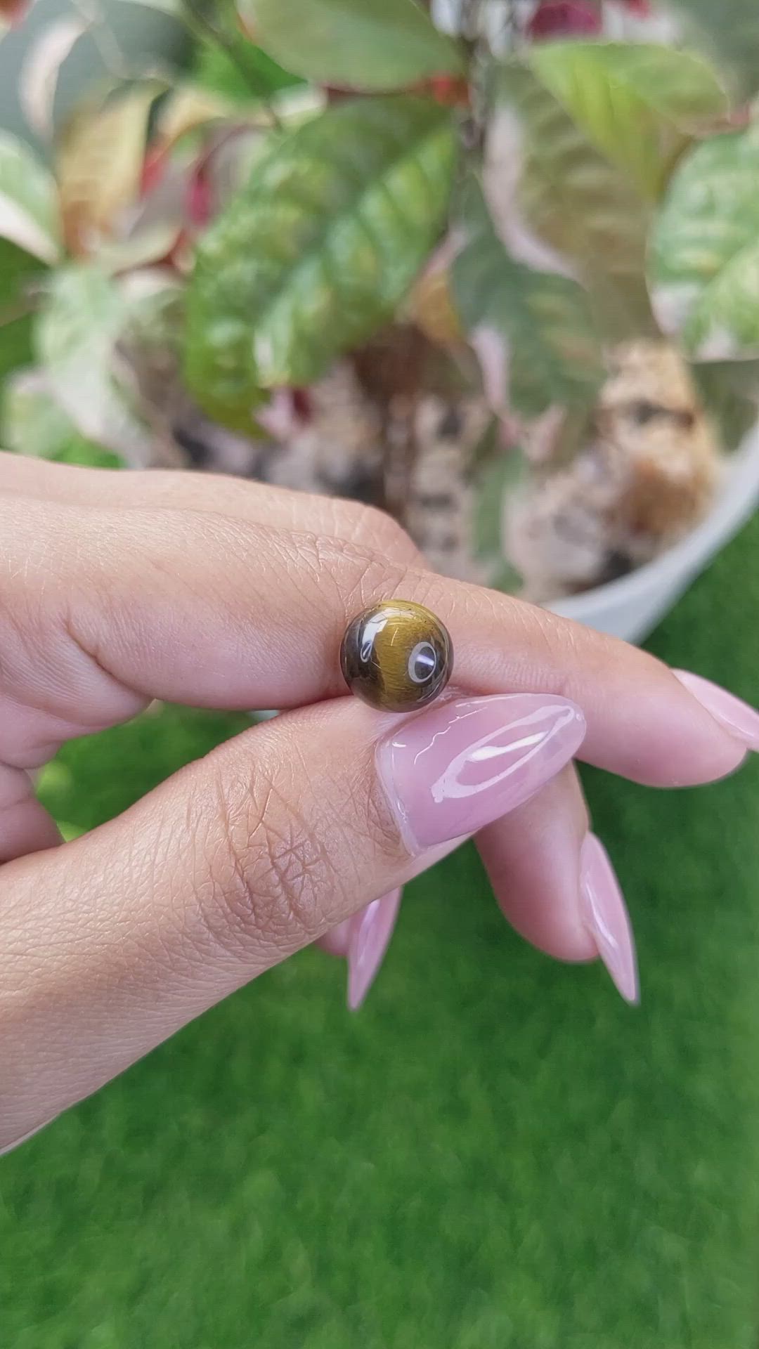 4.36 Ct. Cabochon Tiger's Eye from Ceylon (Sri Lanka) Size Video