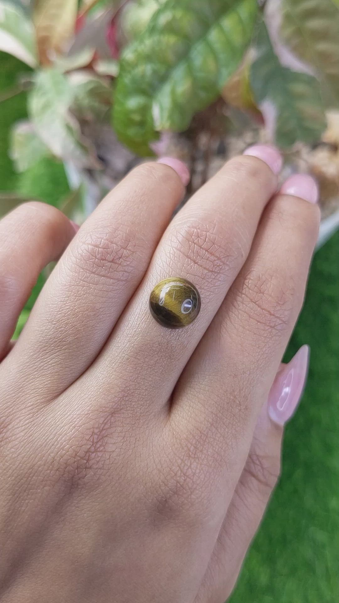 4.36 Ct. Cabochon Tiger's Eye from Ceylon (Sri Lanka) Size Video