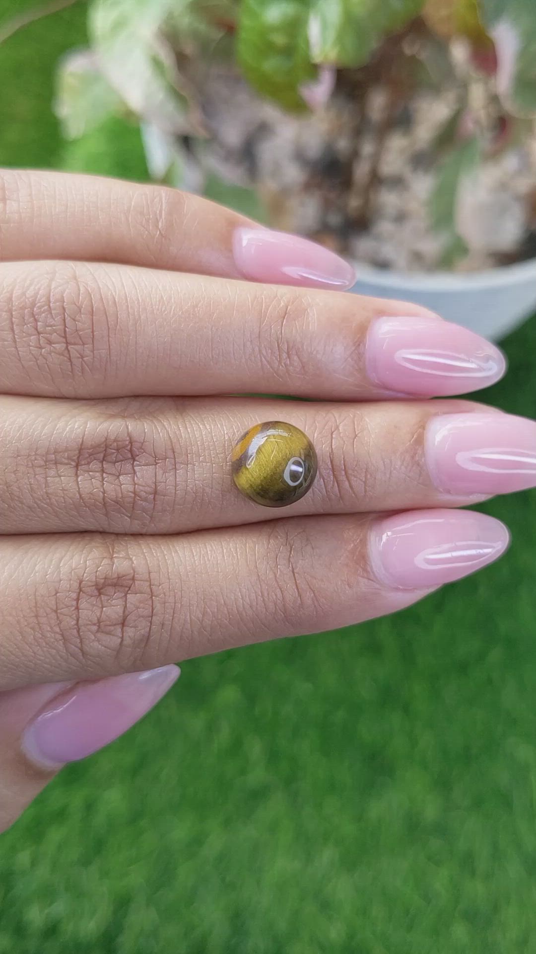 4.37 Ct. Cabochon Tiger's Eye from Ceylon (Sri Lanka) Size Video