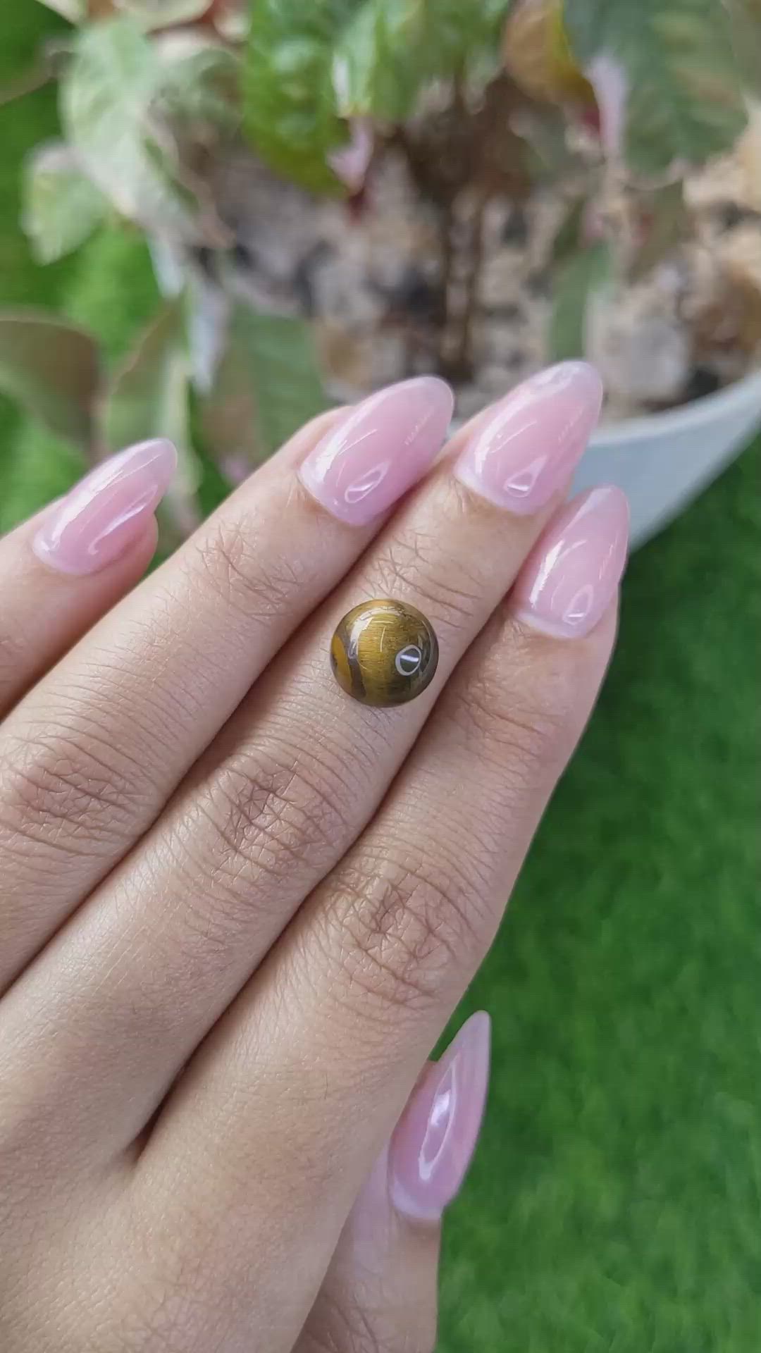 4.37 Ct. Cabochon Tiger's Eye from Ceylon (Sri Lanka) Size Video