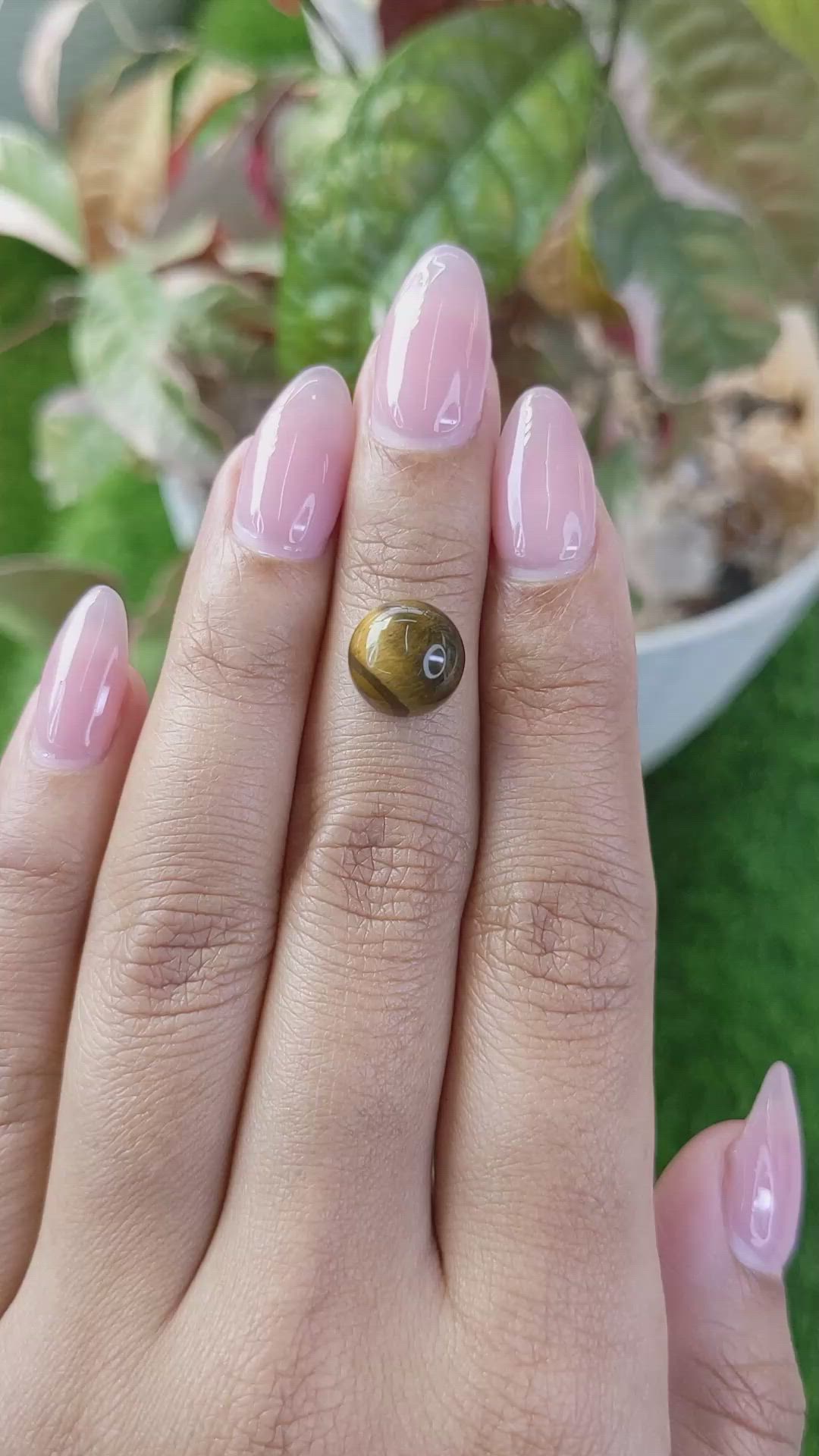 4.37 Ct. Cabochon Tiger's Eye from Ceylon (Sri Lanka) Size Video