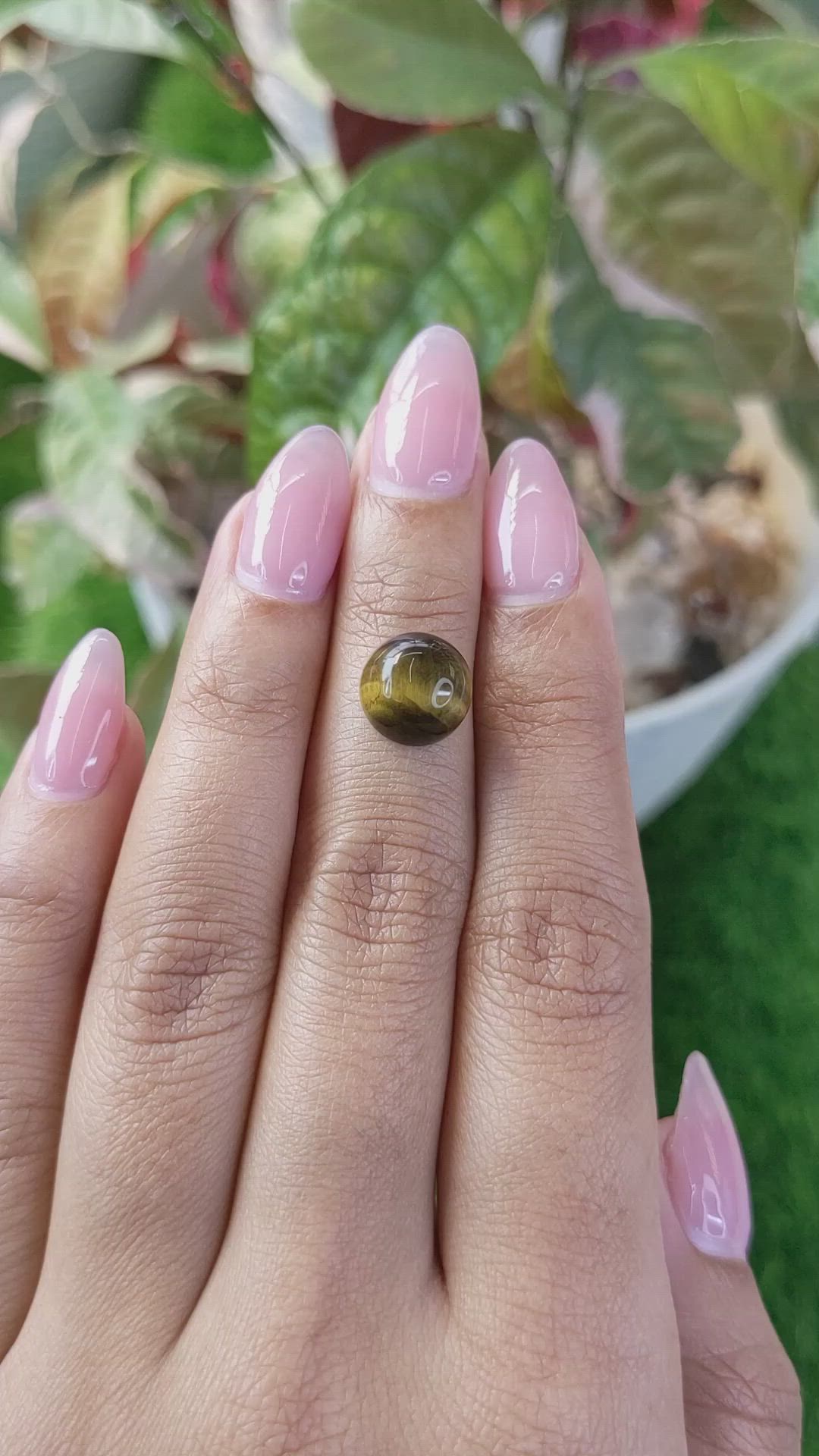 4.37 Ct. Cabochon Tiger's Eye from Ceylon (Sri Lanka) Size Video