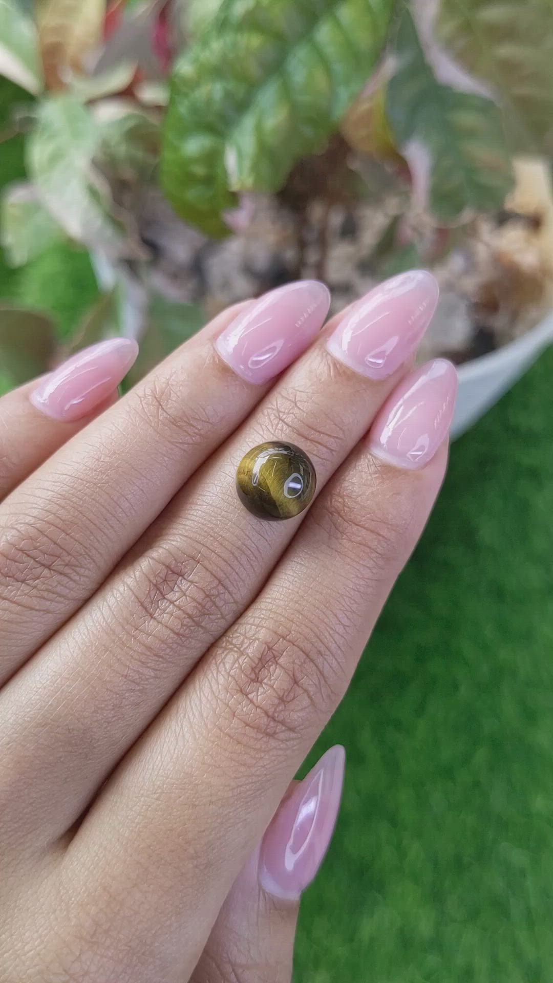 4.37 Ct. Cabochon Tiger's Eye from Ceylon (Sri Lanka) Size Video