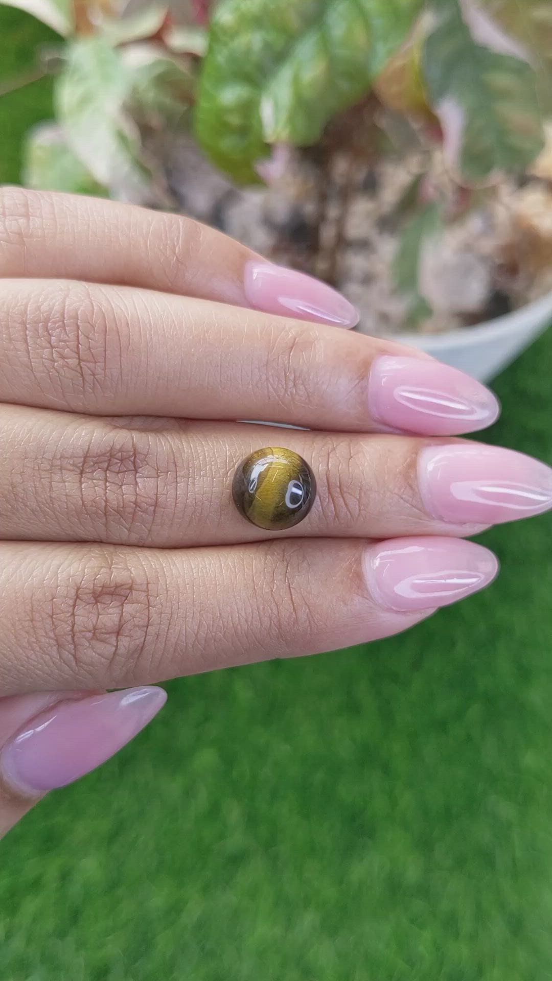 4.37 Ct. Cabochon Tiger's Eye from Ceylon (Sri Lanka) Size Video