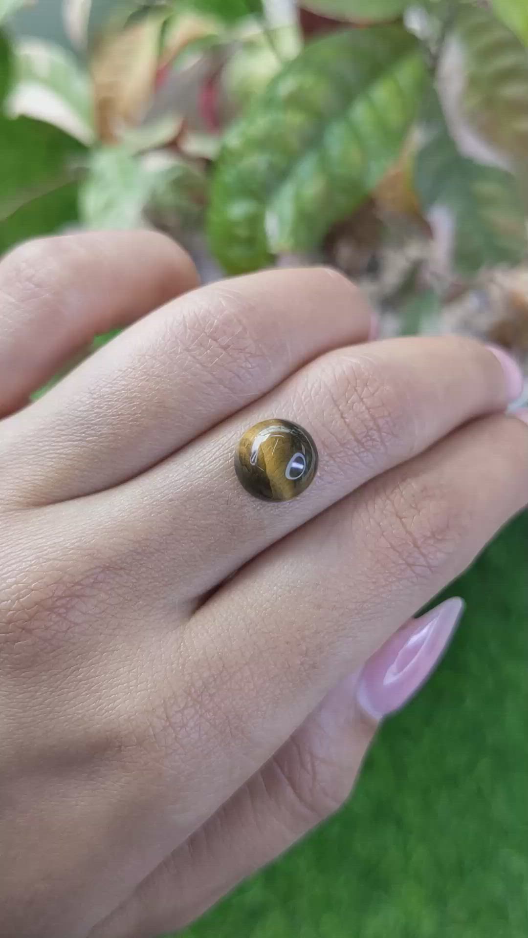 4.37 Ct. Cabochon Tiger's Eye from Ceylon (Sri Lanka) Size Video