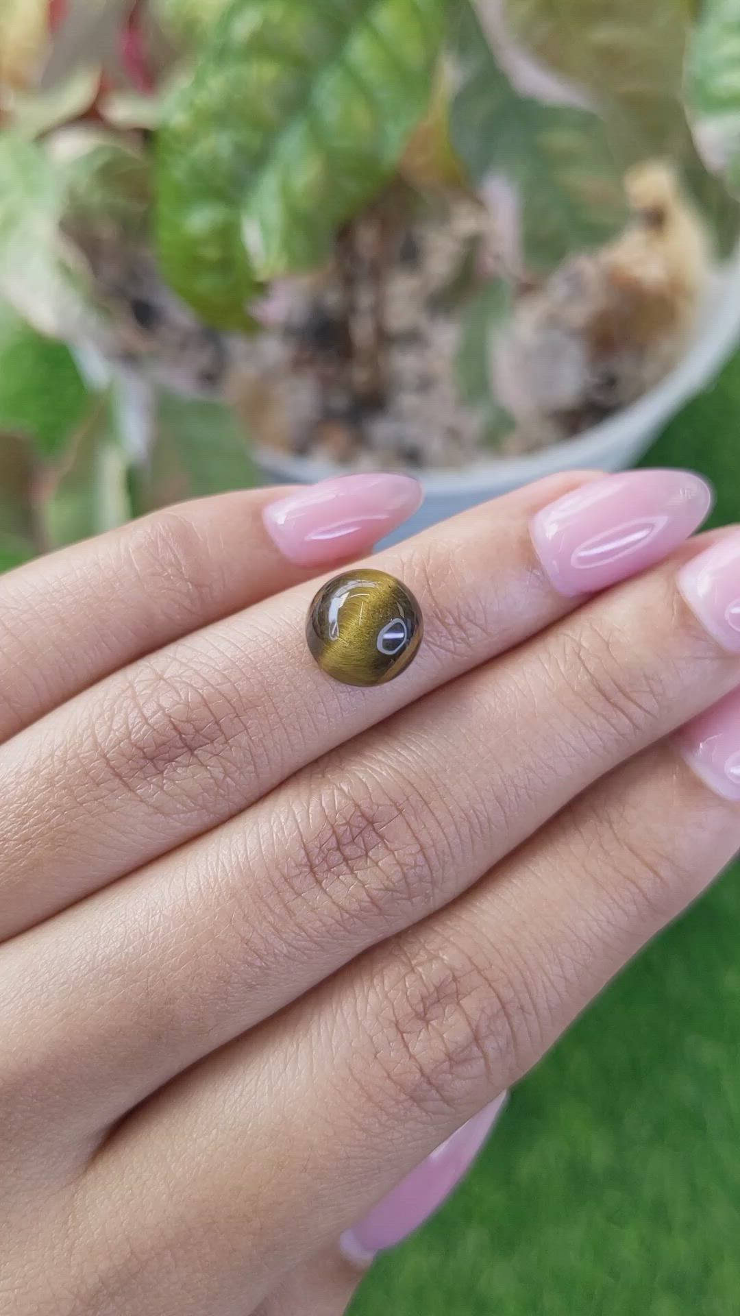 4.39 Ct. Cabochon Tiger's Eye from Ceylon (Sri Lanka) Size Video