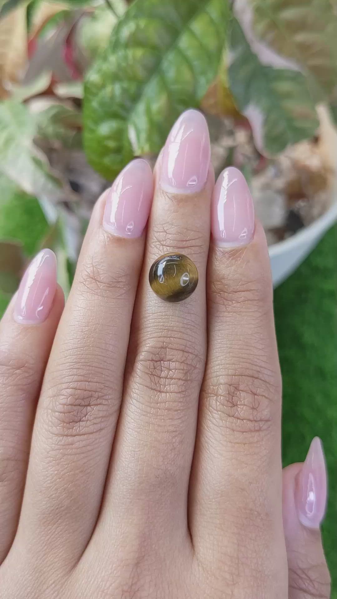 4.39 Ct. Cabochon Tiger's Eye from Ceylon (Sri Lanka) Size Video
