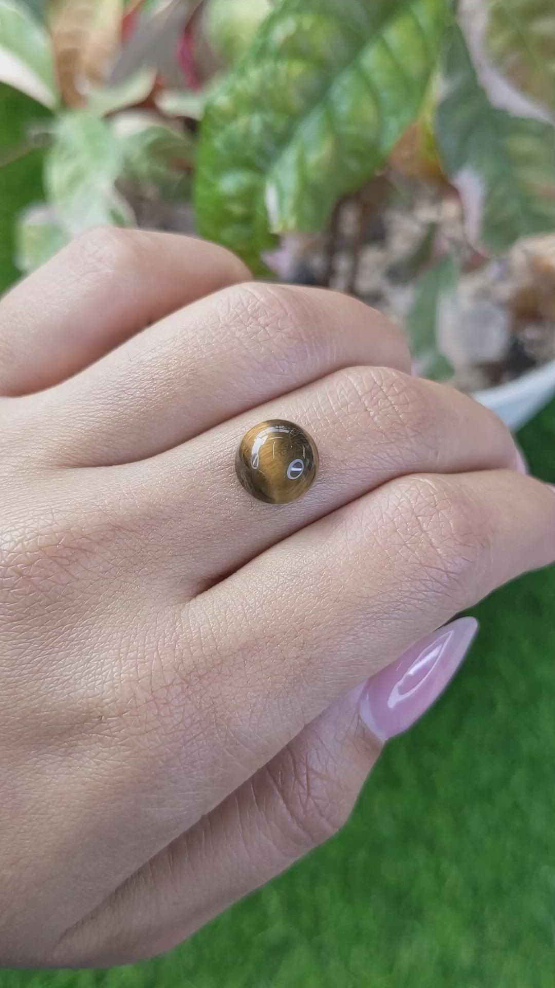 4.39 Ct. Cabochon Tiger's Eye from Ceylon (Sri Lanka) Size Video