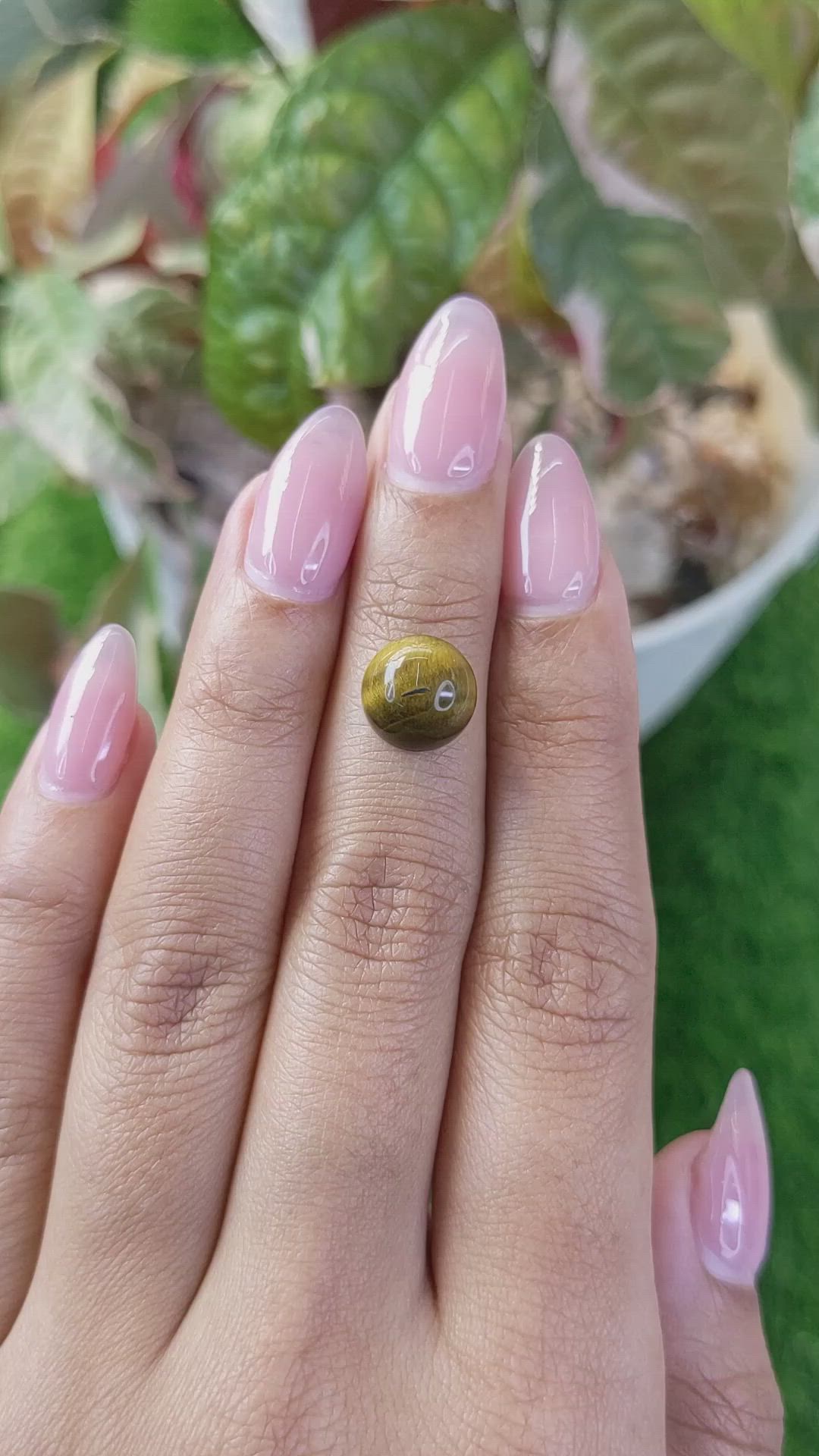 4.43 Ct. Cabochon Tiger's Eye from Ceylon (Sri Lanka) Size Video