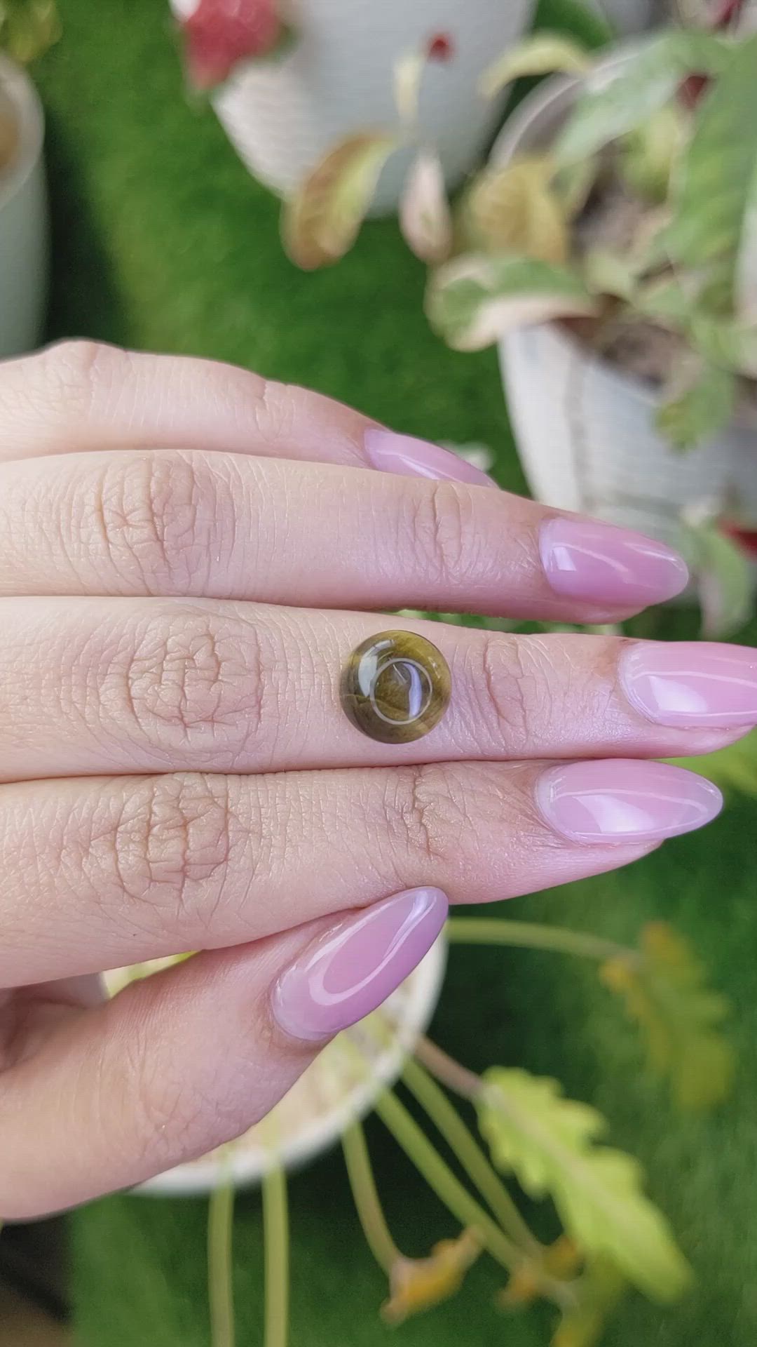 4.43 Ct. Cabochon Tiger's Eye from Ceylon (Sri Lanka) Size Video