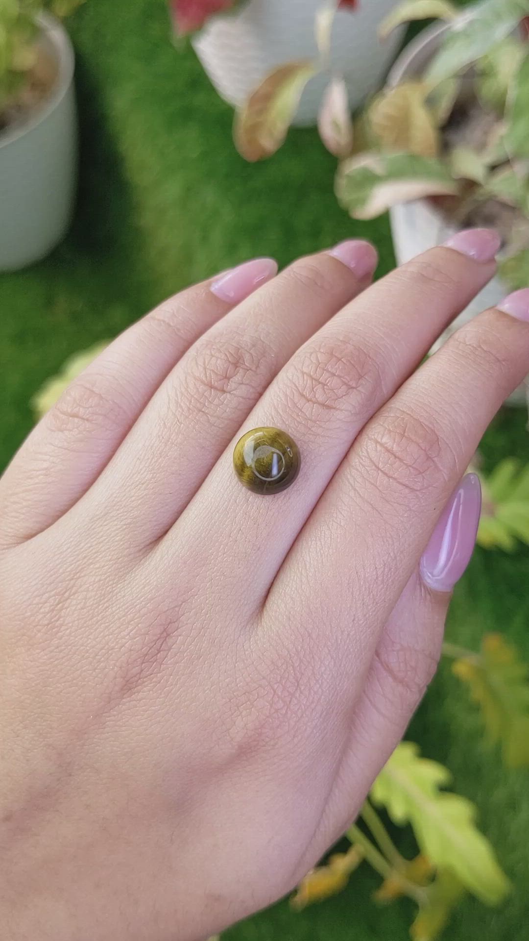 4.43 Ct. Cabochon Tiger's Eye from Ceylon (Sri Lanka) Size Video
