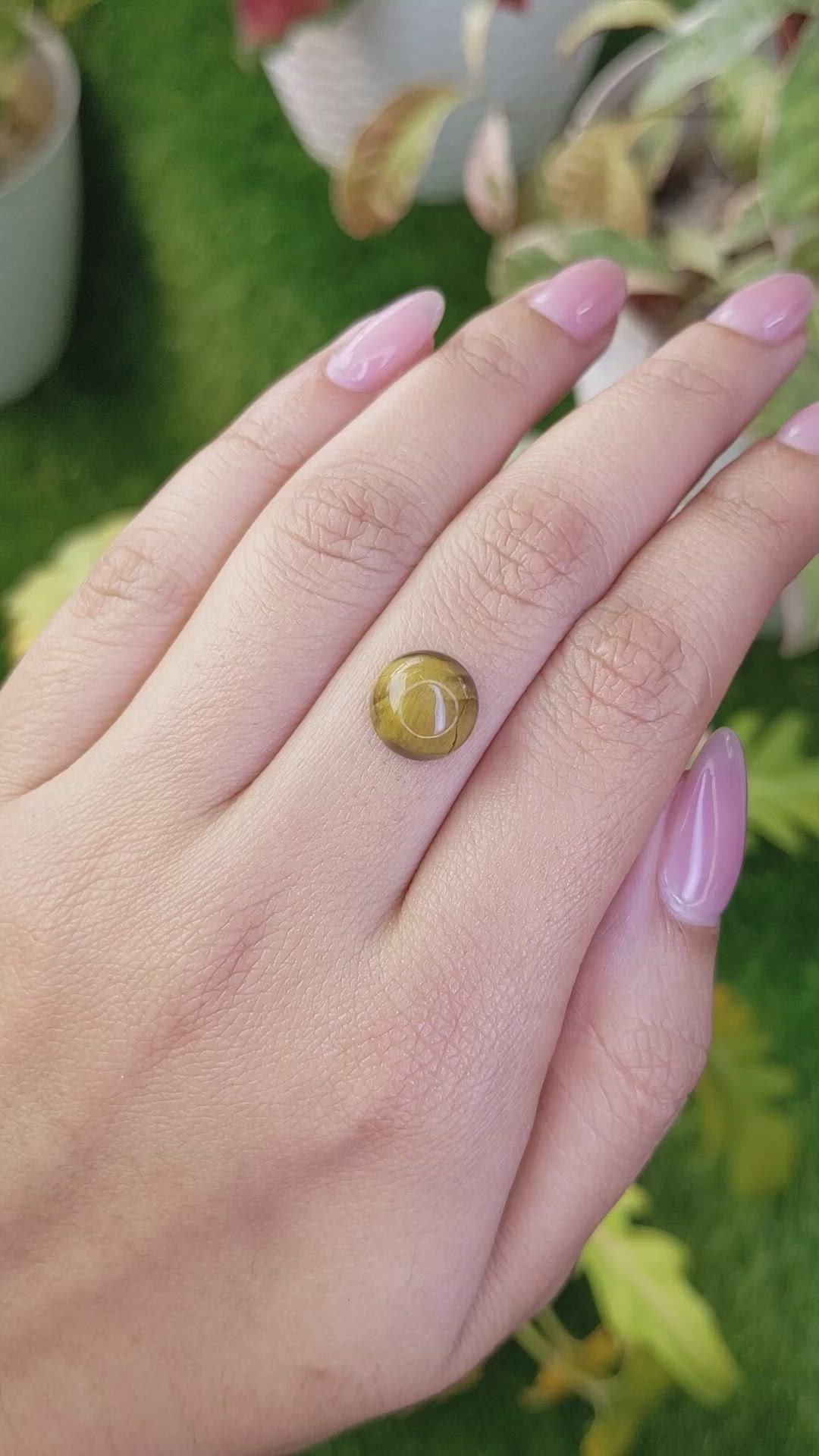 4.40 Ct. Cabochon Tiger's Eye from Ceylon (Sri Lanka) Size Video