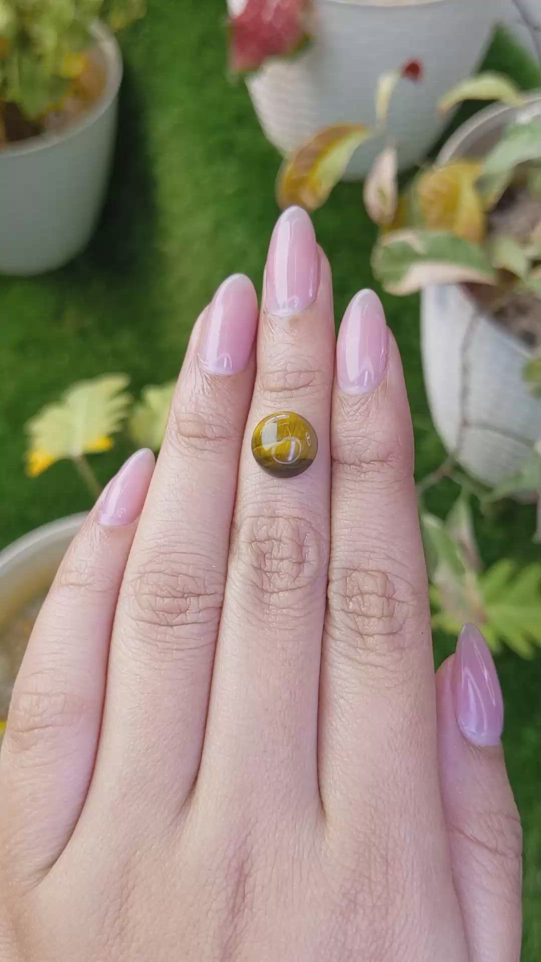 4.44 Ct. Cabochon Tiger's Eye from Ceylon (Sri Lanka) Size Video
