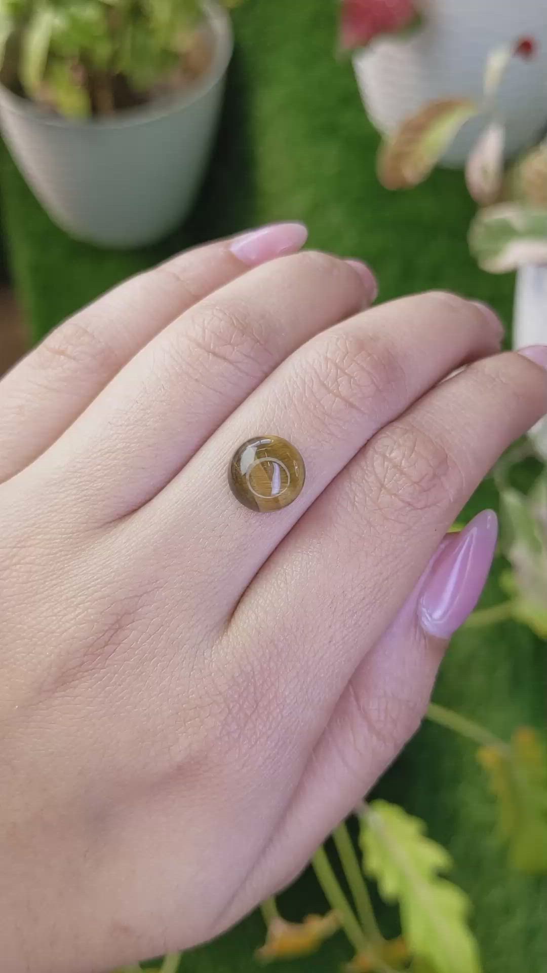 4.44 Ct. Cabochon Tiger's Eye from Ceylon (Sri Lanka) Size Video