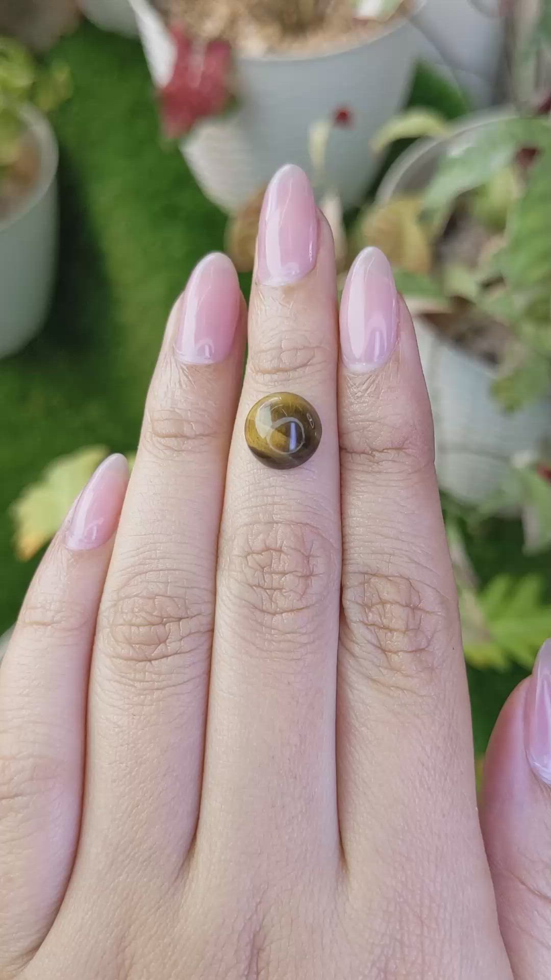 4.45 Ct. Cabochon Tiger's Eye from Ceylon (Sri Lanka) Size Video