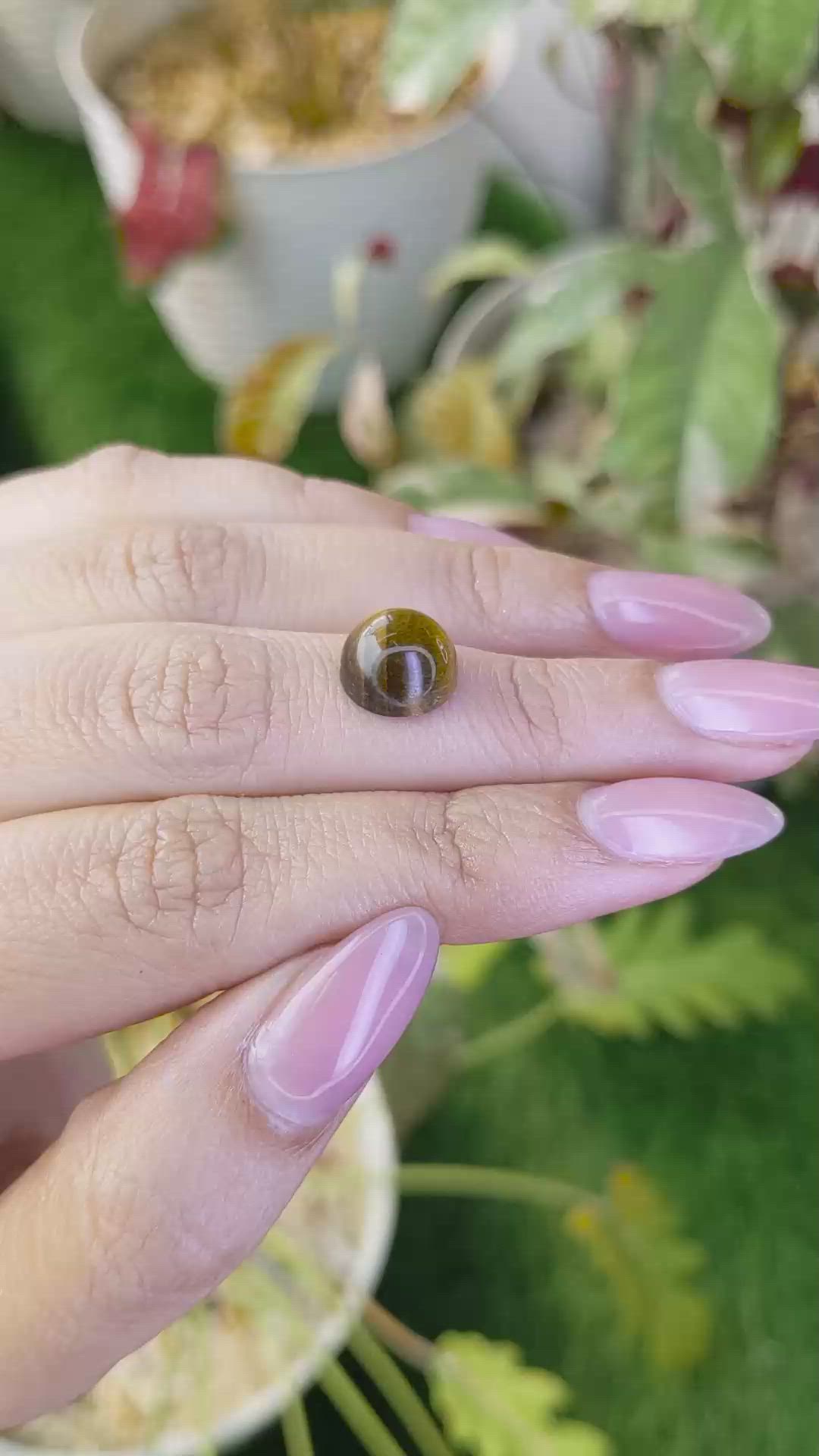 4.45 Ct. Cabochon Tiger's Eye from Ceylon (Sri Lanka) Size Video