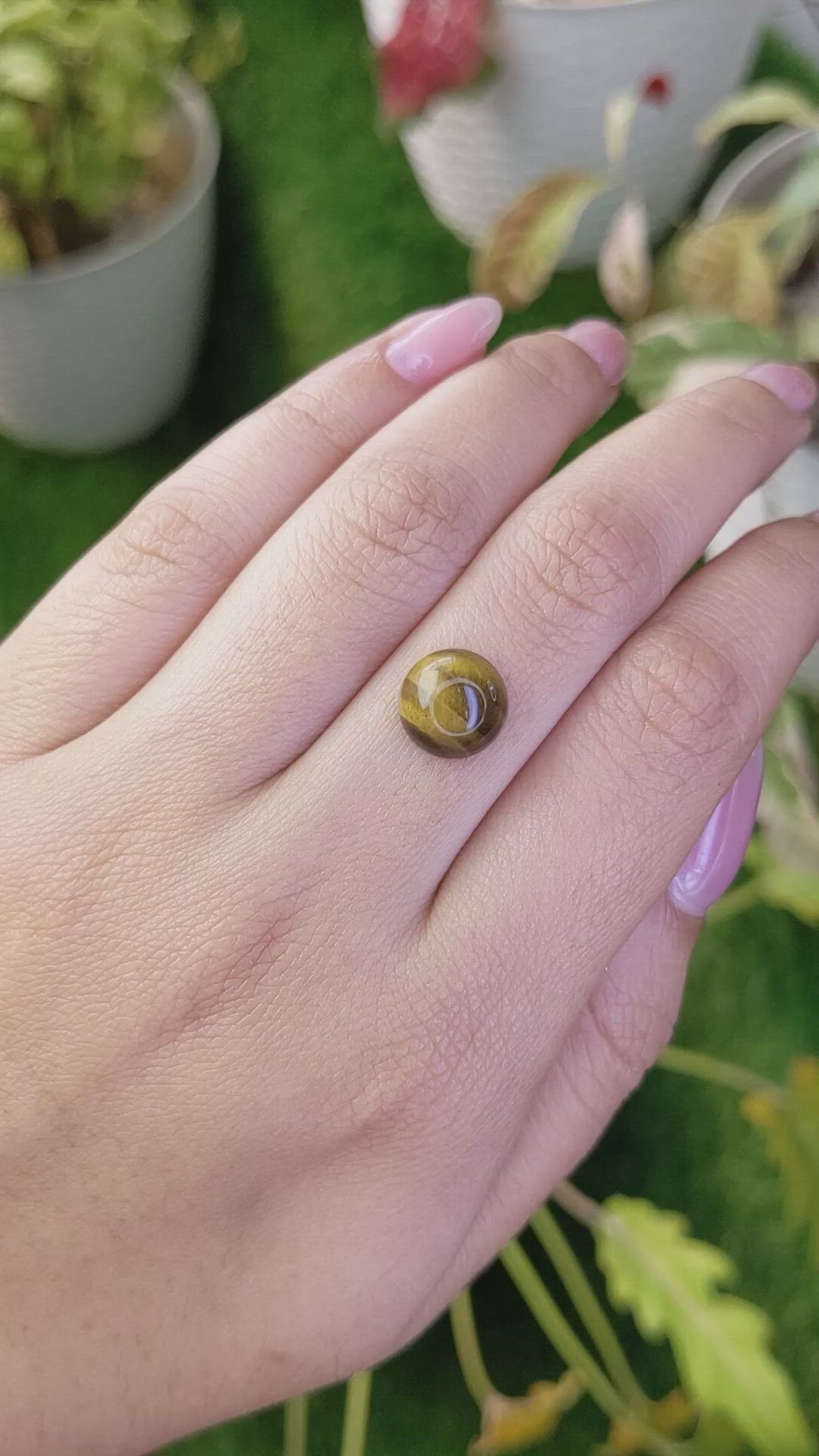 4.45 Ct. Cabochon Tiger's Eye from Ceylon (Sri Lanka) Size Video